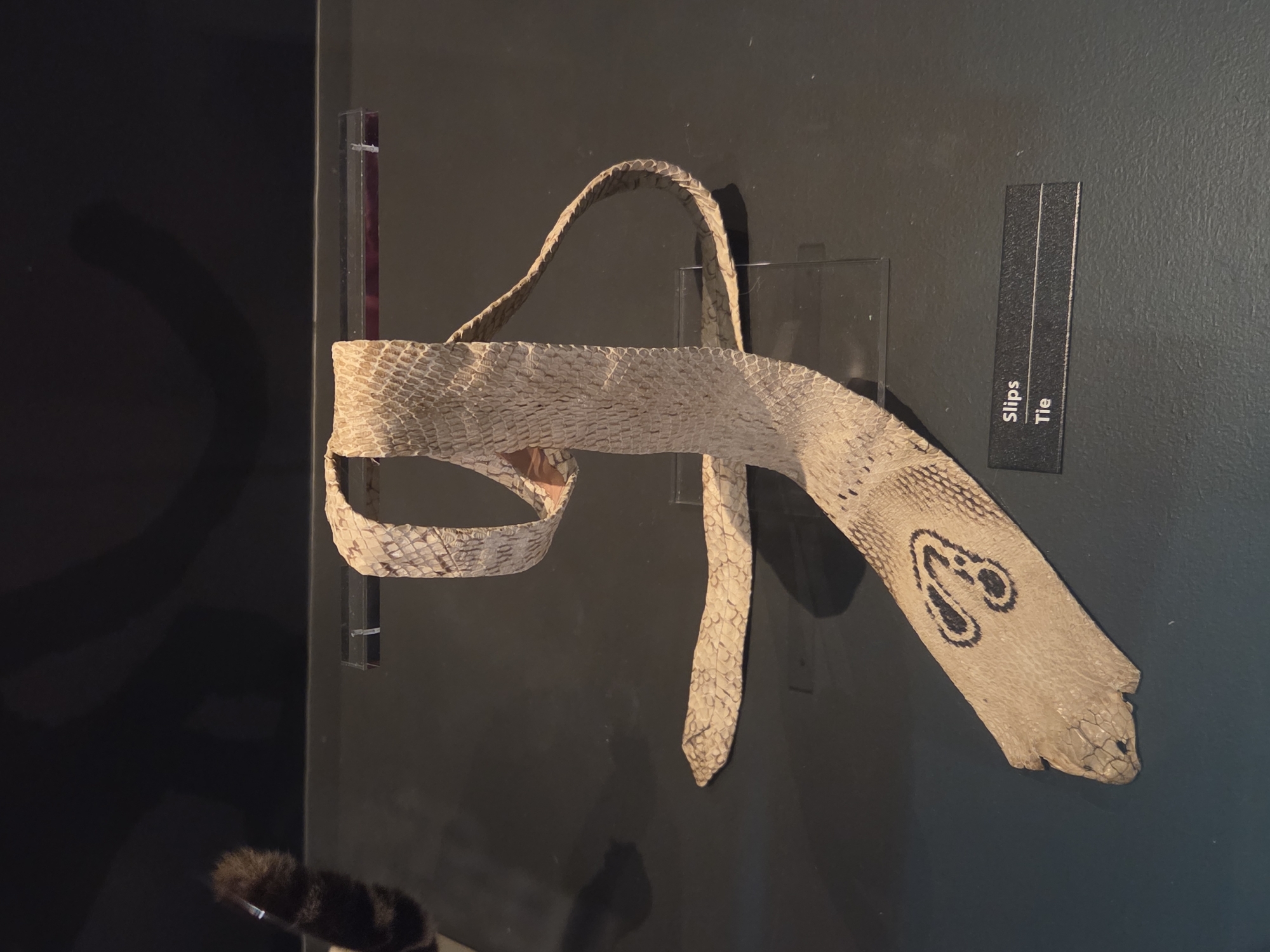 The image shows a snake skin tie displayed on a dark grey surface, possibly a museum exhibit. The tie is made from a light-colored snake skin with visible scales. A black label with white text is placed in the foreground, reading "Slips" and "Tie". To the left of the tie, a portion of a dark, furry object with stripes is visible, possibly an animal tail. The background is dark and slightly reflective, showing indistinct shadows and light. The overall setting appears to be indoors, likely in a public exhibition space in Malmö, Sweden.