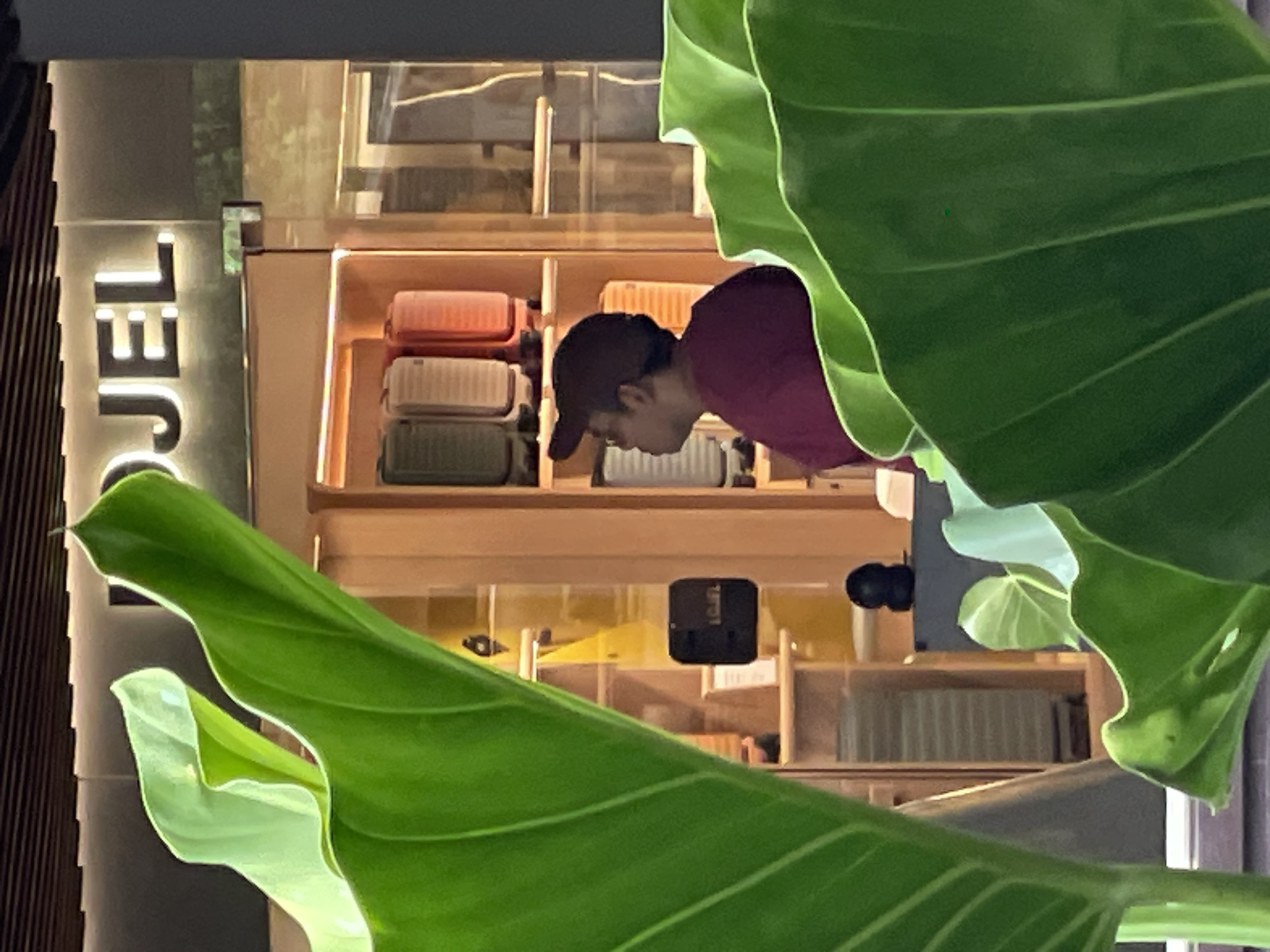 The image shows the facade of a retail store with the illuminated sign "OJEL" at the top. In the foreground, large, vibrant green leaves obscure a significant portion of the view. Behind the leaves, inside the store, several suitcases are displayed on shelves. To the right of the display, a person wearing a maroon shirt and a dark baseball cap is seen from the side, looking towards the left. The store appears to be located in Kuta, Indonesia, a popular tourist destination known for its beaches and shopping. The overall impression is a commercial street scene with a focus on retail displays and a customer.