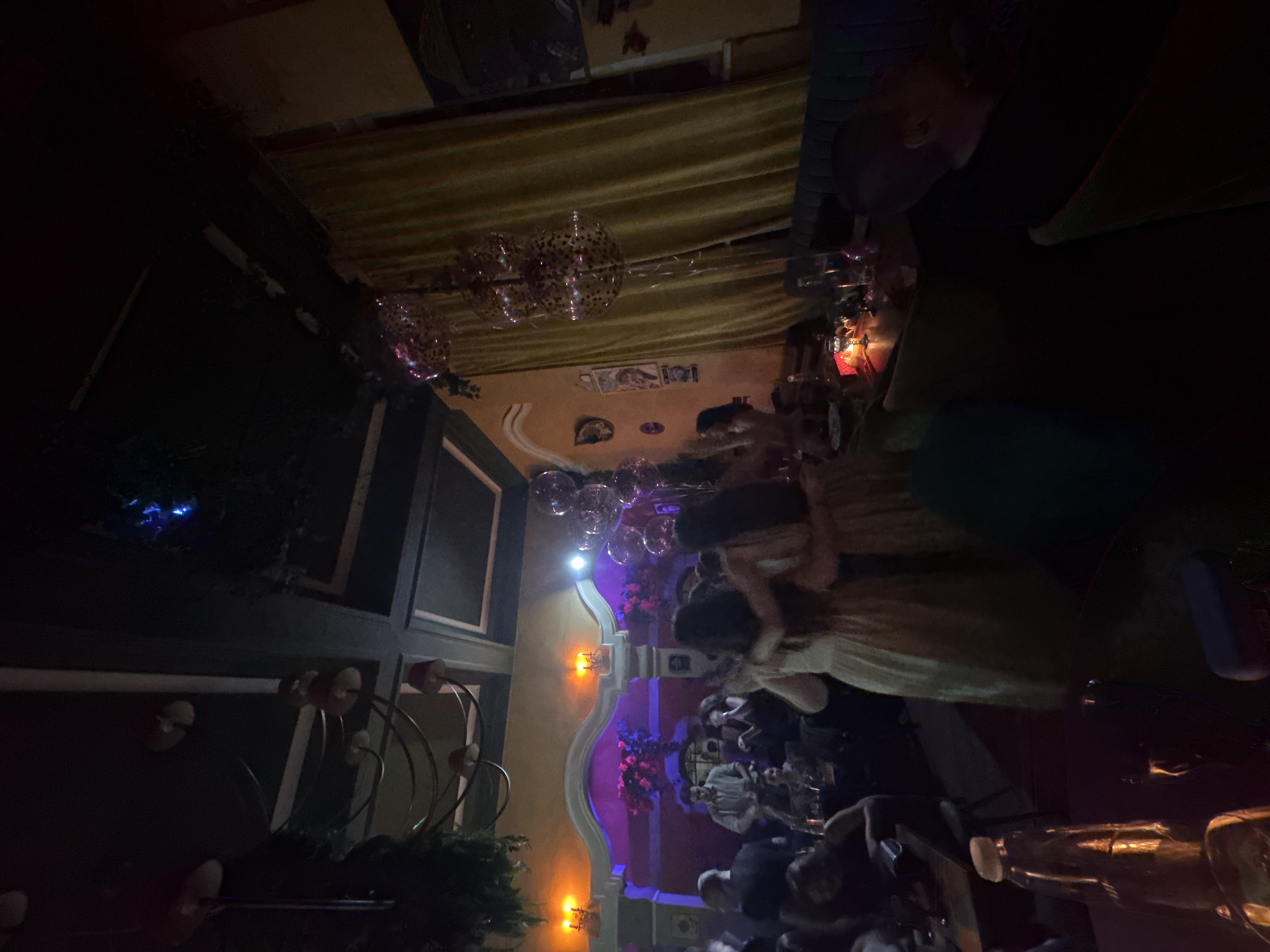 This image depicts a crowded, dimly lit interior scene within a commercial establishment in Sofia, Bulgaria, likely a bar or restaurant. The setting features a dark ceiling adorned with distinctive light fixtures resembling mushroom caps on long, curved metal arms, alongside hanging green foliage on the left side. The walls display a mix of textures and colors, including a prominent dark red/purple section with white decorative molding and a recessed arch featuring purple/pink uplighting and floral arrangements. Adjacent walls are painted in warm orange/yellow tones, with heavy, golden-yellow curtains draping the right side of the room.
Approximately 10-15 individuals are discernable, with more obscured by the low light and crowd. In the mid-ground, two women, wearing light-colored dresses, stand with their arms around each other, facing away from the camera, suggesting an embrace or close interaction. To their left, a man in a light-colored shirt stands near what appears to be a performance area, engaging with others. Various patrons are seated at dark tables, where drinks and a small, glowing red object (possibly a candle or decorative light) are visible. Clusters of clear balloons filled with confetti are suspended on the right side of the room, extending upwards. In the bottom left foreground, a clear plastic bottle stands on a surface. The overall environment conveys a lively and social gathering.
