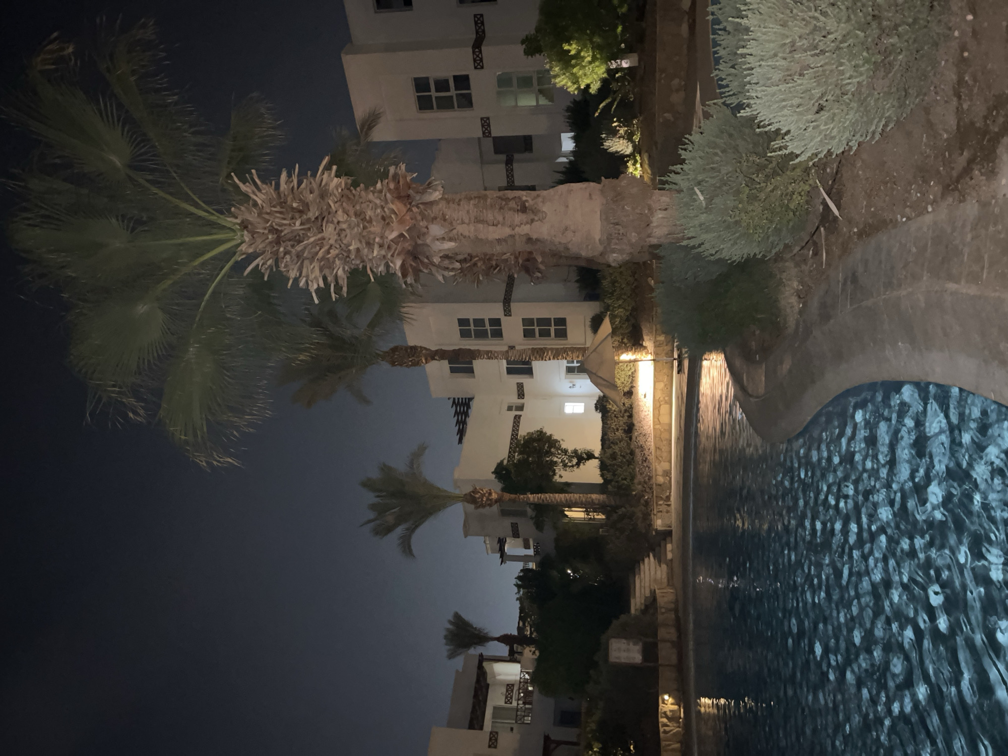 This is a nighttime, low-angle, full shot of a swimming pool and surrounding resort area in Sharm El Sheikh, Egypt. The pool takes up the majority of the foreground, its dark blue water illuminated by underwater lights, creating a rippling, textured surface. To the right of the pool, a concrete walkway curves around the edge, bordered by light green, bushy shrubs. Behind the shrubs and walkway, a thick, shaggy palm tree trunk dominates the mid-ground, its fronds extending upwards and to the left. In the background, several multi-story, white stucco buildings with dark-framed windows are visible. The sky is a dark, clear night sky. The scene appears to be a resort or hotel complex, possibly a vacation destination. There are no people visible in the image. The lighting suggests artificial light sources from within the resort, illuminating the pool, walkway, and some of the surrounding vegetation.