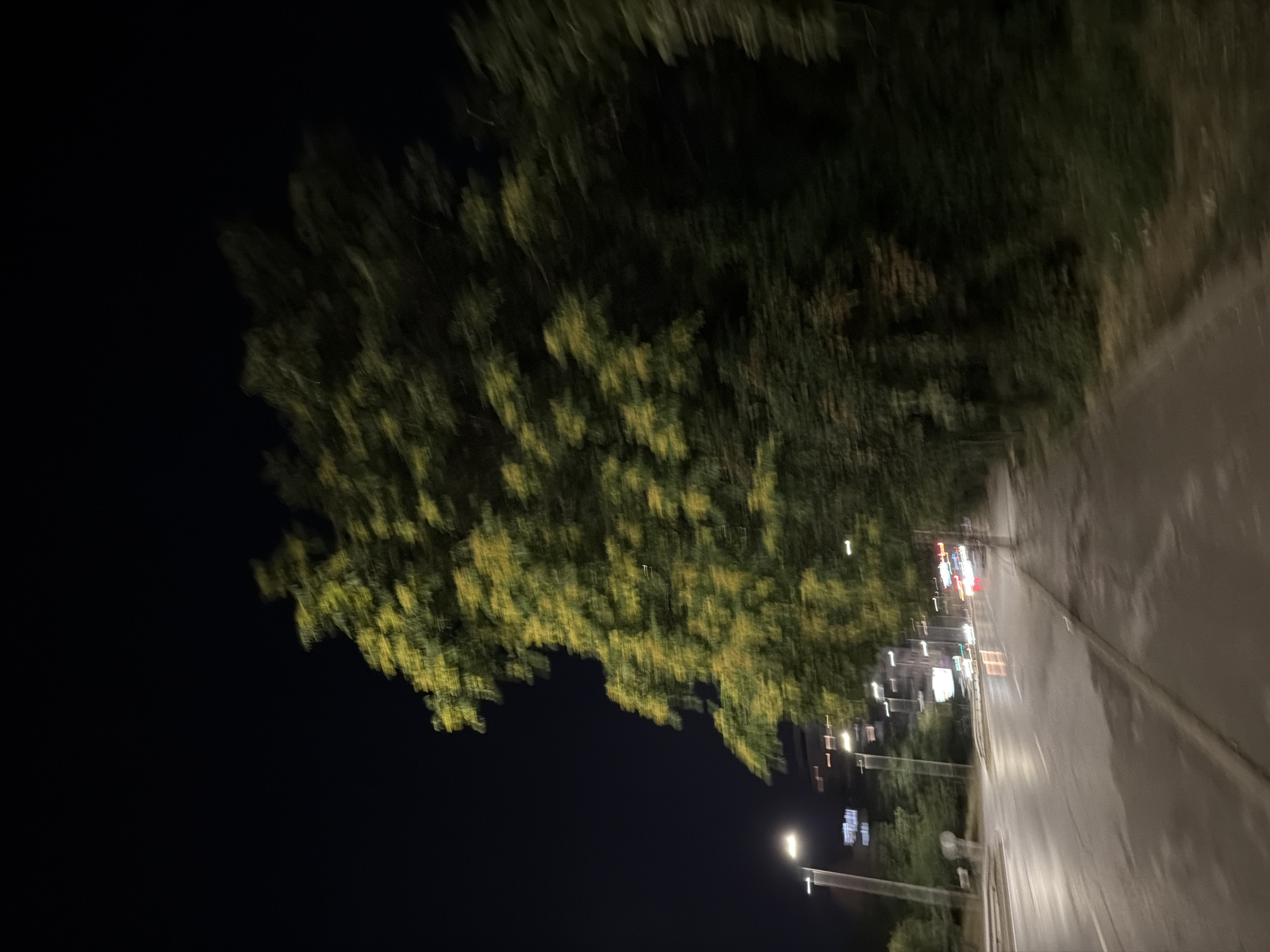 The image depicts a street scene at night in Sofia, Bulgaria. A wet asphalt road runs along the left side of the frame, reflecting the artificial lights from street lamps and buildings. A sidewalk runs along the right side of the road, lined with trees and greenery. A large tree with yellowing leaves is prominent in the center and right of the frame, its branches blurred by motion or low light. In the background, several tall buildings are visible, with illuminated windows. Streetlights are spaced along the road, and the headlights and taillights of distant vehicles are visible, suggesting traffic. The overall impression is a slightly blurred, nocturnal urban environment.