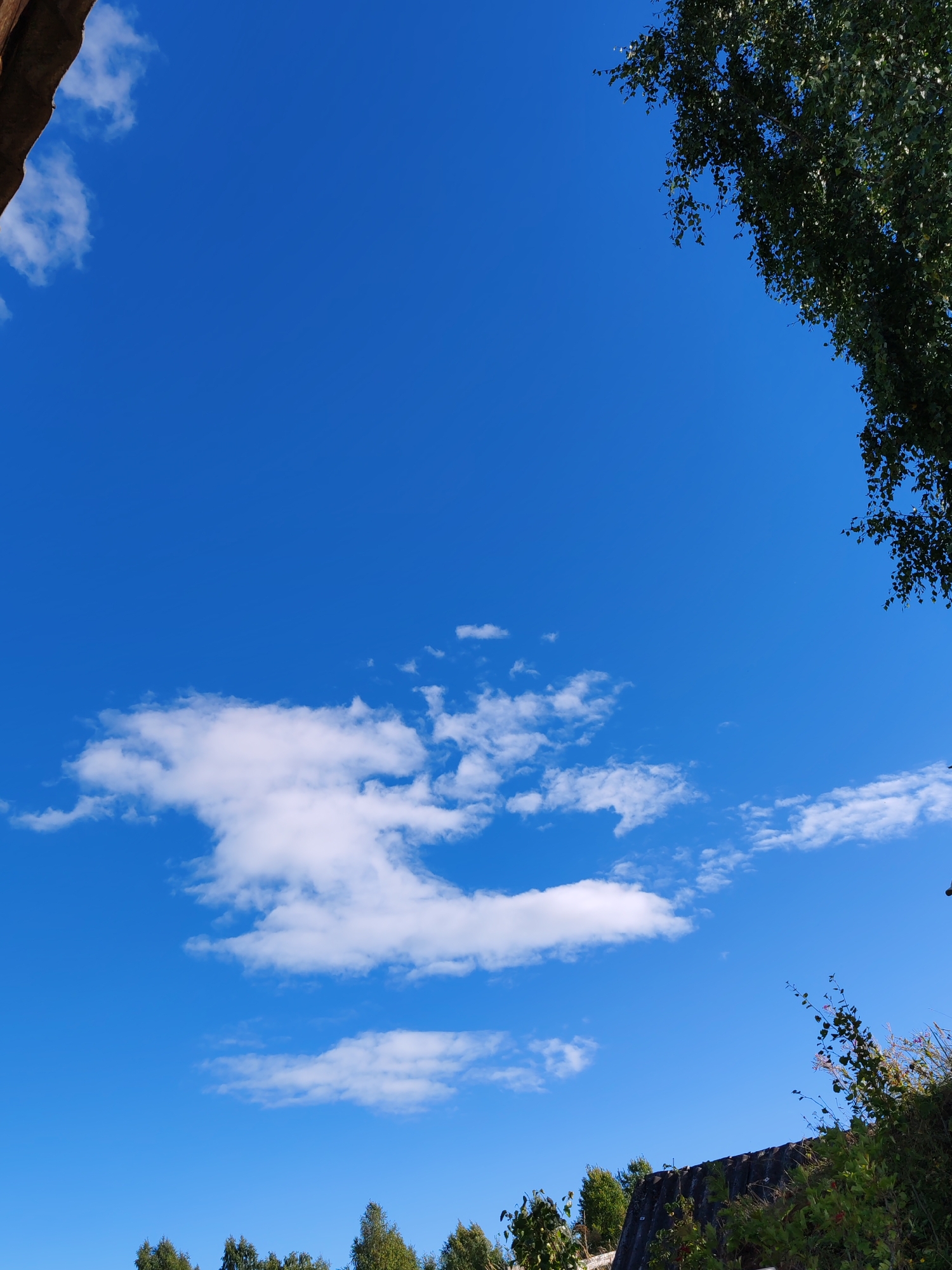 The image is a low-angle shot of a clear blue sky with scattered white clouds. In the upper left corner, a dark, textured object, possibly part of a building or structure, intrudes into the frame. On the right side, the branches of a leafy green tree hang down, their leaves catching the sunlight. The lower portion of the image reveals a dark, corrugated roofline, partially obscured by lush green foliage and some flowering plants. The scene appears to be an outdoor environment, likely in a residential area, given the presence of a roof and trees. The sky suggests it is daytime, with good visibility. No people are visible in the image. The setting could be the city of Chuwhem, Russia, based on the provided context.