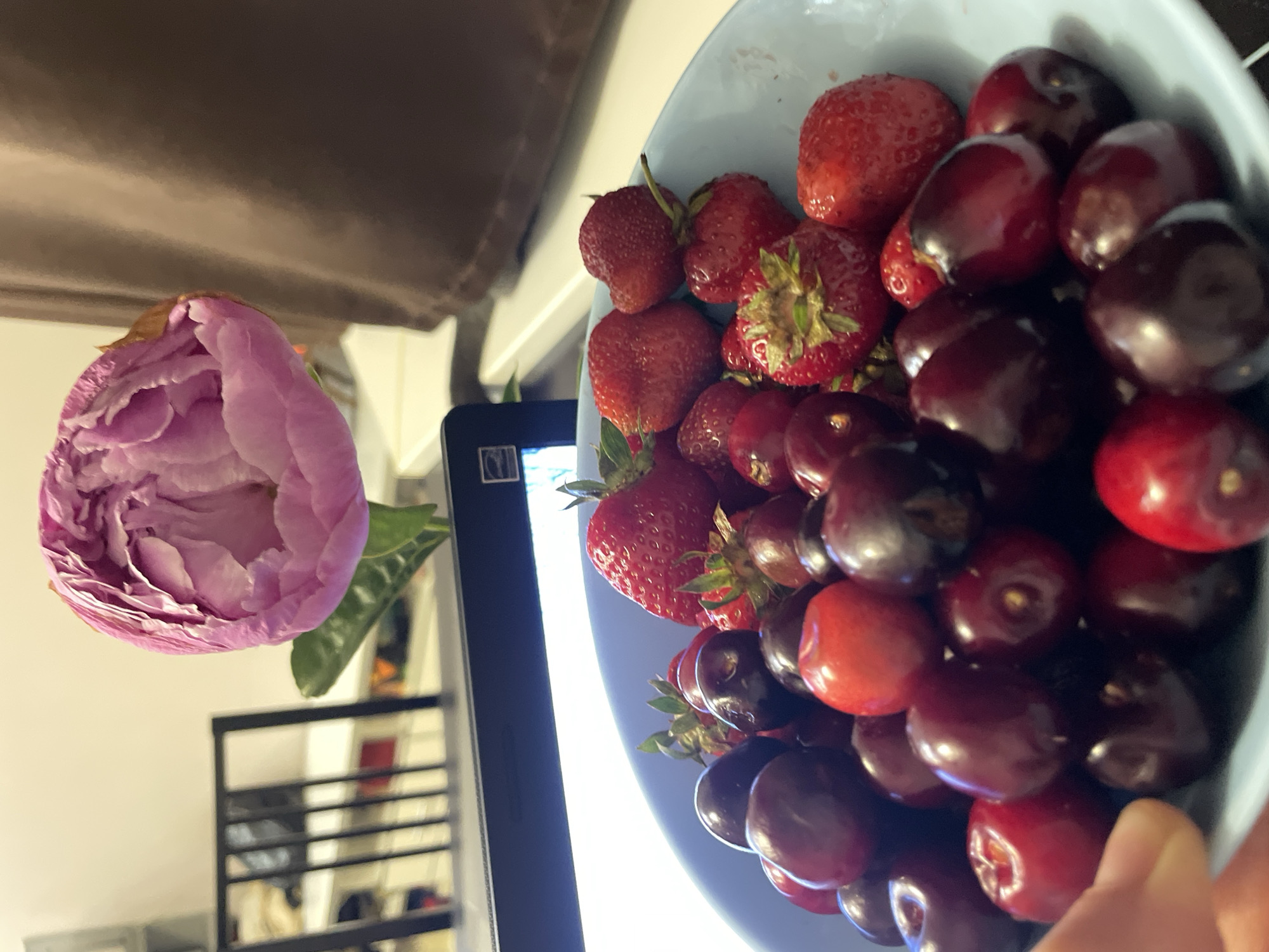 An overhead shot captures a blue bowl filled with fresh strawberries and dark cherries. A single pink peony is positioned above the bowl, its petals unfurled. In the background, a black chair is visible, and the scene appears to be indoors, likely on a table, suggesting a domestic setting. The location of Sochi, Russia, is not discernible from the visual information provided.