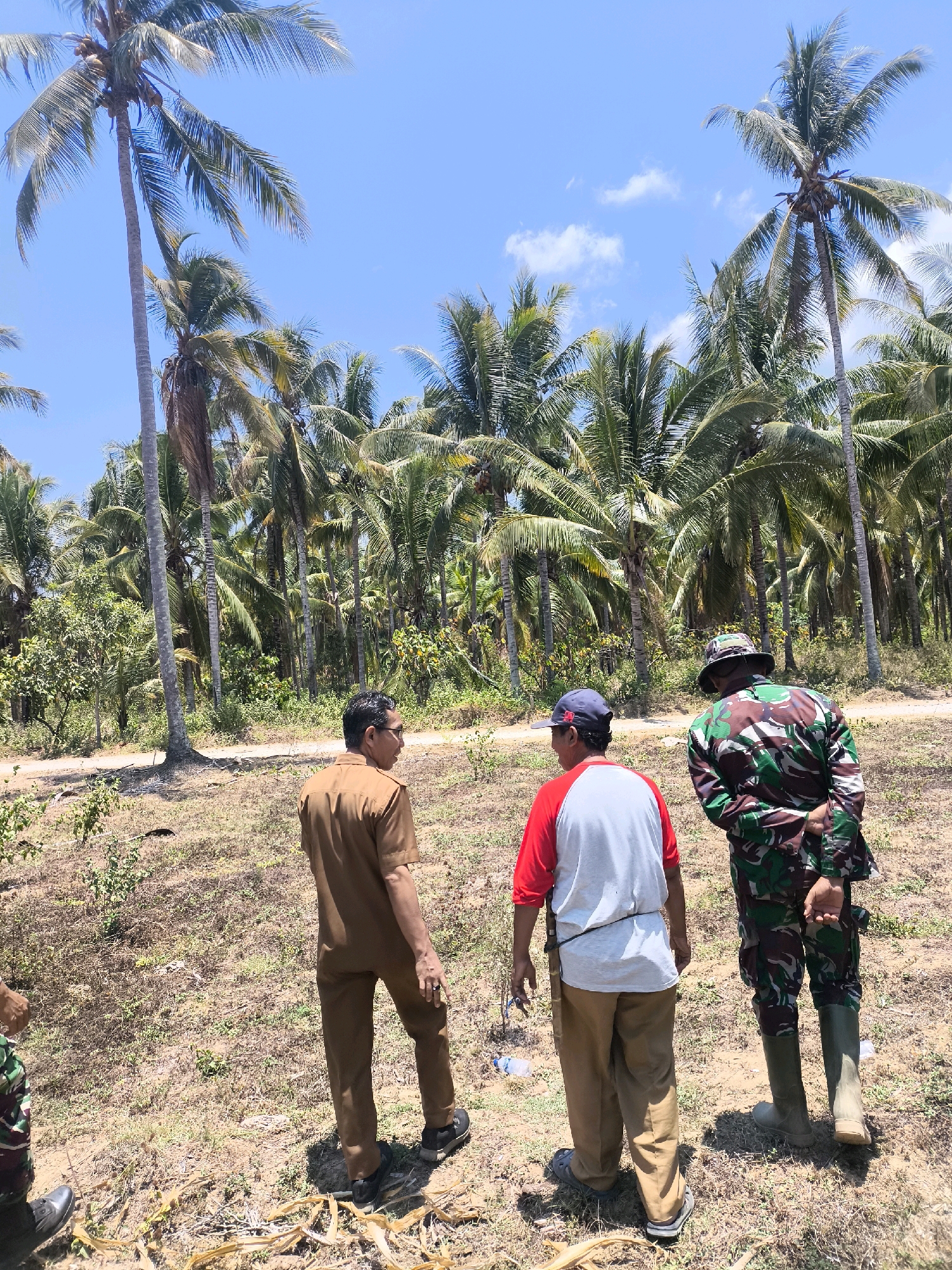 Three individuals are standing in a dry, grassy area with scattered debris, facing away from the camera. A dense grove of tall palm trees forms the backdrop, with a clear blue sky visible above. The person on the left wears a brown uniform and glasses. The person in the middle wears a red and white shirt and tan pants. The person on the right is dressed in camouflage military attire and tall green boots. The scene appears to be in Modelomo, Indonesia, based on the presence of palm trees and the likely tropical climate.