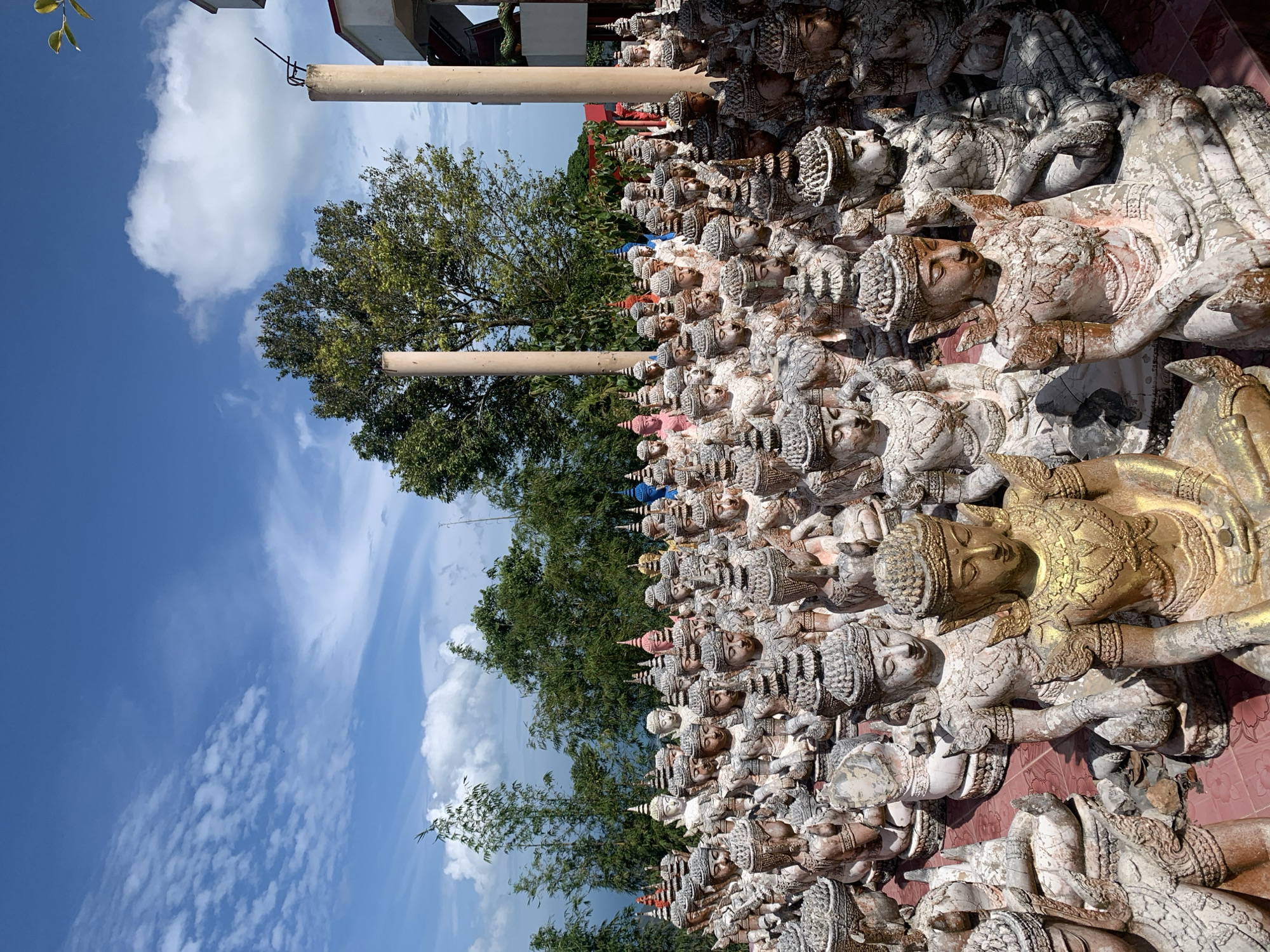 A wide-angle, eye-level outdoor shot captures an extensive collection of seated Buddha statues at a temple in Ko Samui District, Thailand. The statues are arranged in dense rows, filling the foreground and midground. They vary in size, but most are roughly life-sized. The statues are made of stone or concrete and exhibit signs of age, with some appearing worn and weathered, while others are painted or gilded. Many of the statues are adorned with ornate headdresses and traditional clothing.
In the foreground, a prominent golden Buddha statue sits prominently, its intricate details illuminated by the sunlight. Behind it, a multitude of similar statues in various states of preservation are densely packed. Some statues are a pale, weathered stone color, while others have accents of pink, blue, and gold.
The background features a lush landscape with green trees and bamboo stalks, reaching towards a bright blue sky dotted with white, puffy clouds. Two tall, cylindrical concrete pillars stand on the right side of the frame, suggesting the presence of a structure. The ground beneath the statues is a reddish-pink tiled surface. The overall impression is one of a sacred site dedicated to the veneration of Buddha, with a vast congregation of his effigies.