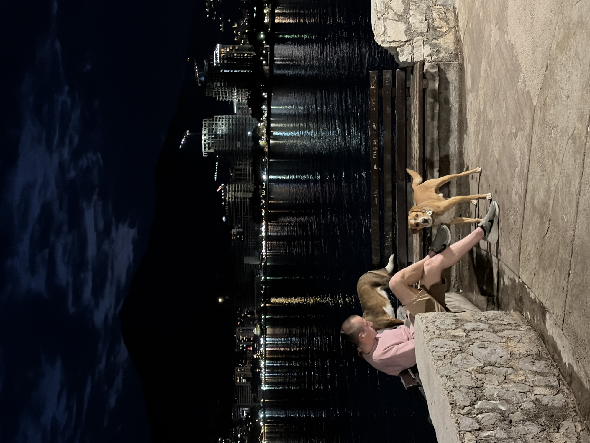 This nighttime image captures a tranquil scene along a waterfront in Budva, Montenegro. A person, appearing to be male and wearing a pink long-sleeved shirt and light shorts, is seated on a textured stone ledge. He has a buzz cut and an earbud in his right ear, with his right leg extended and his sneaker resting near the ground.
Two dogs are present with the person. A light brown dog with white facial markings stands upright, looking towards the viewer with an attentive expression, its front paws near the person's right foot. Another darker brown dog with white underparts is lying down next to the person's left side.
In the background, a sprawling city skyline across the water is brightly illuminated, with numerous building lights casting long, shimmering reflections on the dark surface of the sea. The sky above is dark, showing faint cloud formations. The immediate foreground features a rough, light-colored stone embankment. Behind the person, a wooden structure, possibly a bench backrest or fence, is visible. Several inscriptions are carved or written into this wood, including "M + G K I," "Eve - Rali," and "MIL," along with other partially visible text like "HW." The overall atmosphere suggests a calm moment of companionship by the water.