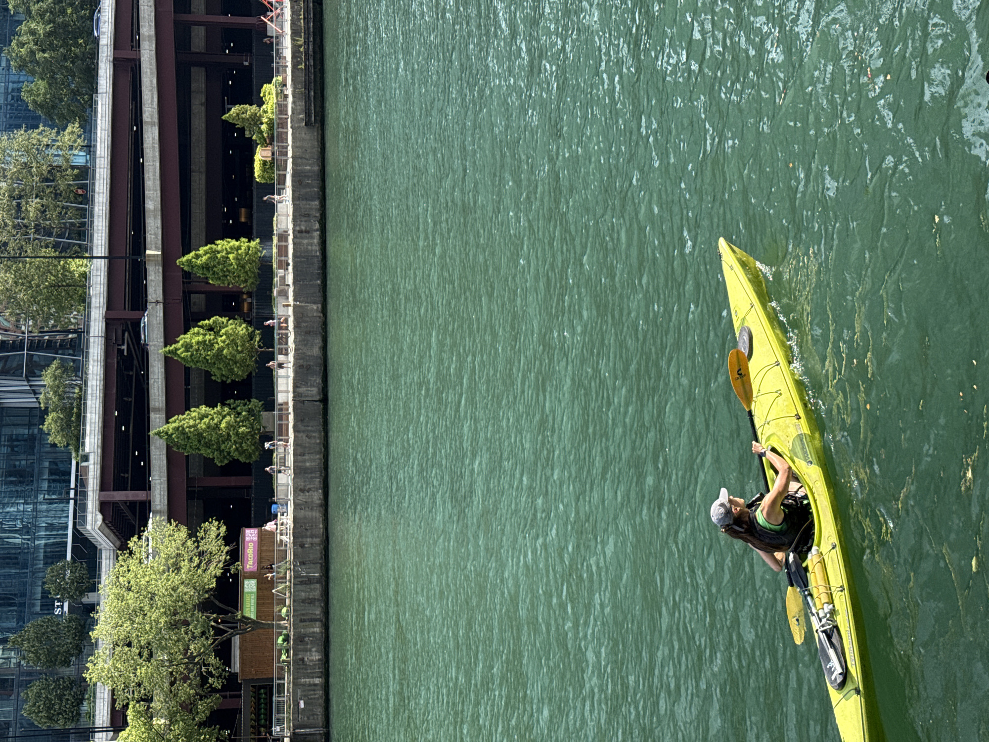 A person wearing a grey baseball cap, a green tank top, and a black life vest is kayaking in a bright yellow kayak on a green body of water. The kayak is equipped with a paddle resting on its deck, and another paddle is visible in the water. The person is looking to their right, away from the camera, and appears to be paddling.
In the background, a concrete seawall lines the edge of the water, with a paved walkway behind it. Several people are walking and standing on the walkway. Various trees and planters with green foliage are situated along the walkway, leading to a building with a dark-colored facade and multiple levels of elevated structures. The building appears to be modern, with glass windows and visible infrastructure. Above the building, a clear blue sky is visible. The scene is characteristic of a waterfront area in a city, likely Chicago, given the architectural style and urban setting.