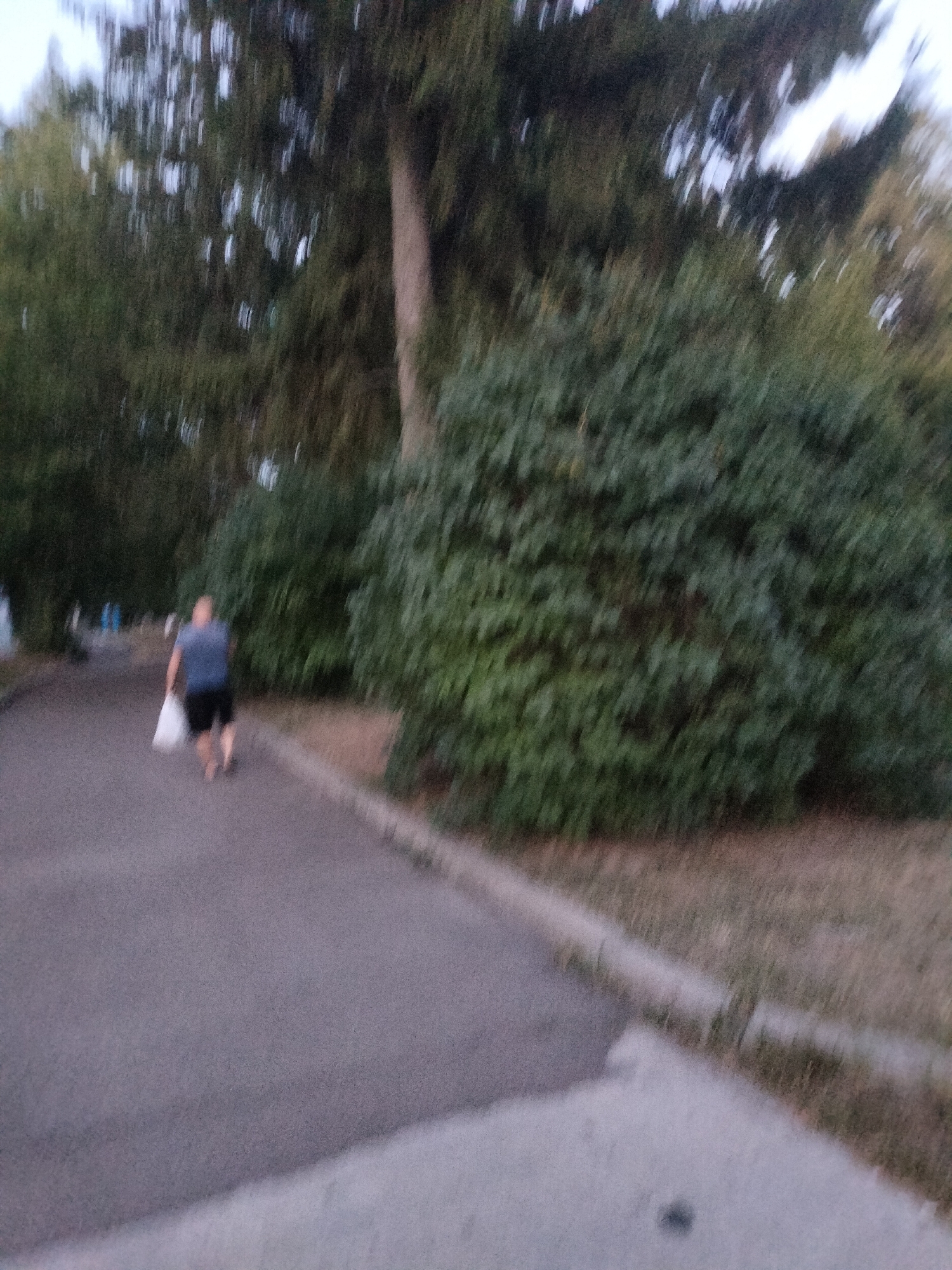 An out-of-focus, medium-shot photograph captures a person walking away from the camera on a paved path. The individual is wearing a blue t-shirt and black shorts and is carrying a white plastic bag in their right hand. They are walking towards a dense green hedge or shrubbery lining the right side of the path. Tall trees with dark green foliage are visible in the background, with some lighter sky peeking through the branches. The path appears to be a public walkway, possibly in a park or residential area. The ground on the right of the path is covered with dry grass and some scattered leaves, suggesting an outdoor, possibly suburban or park-like setting. The lighting indicates it is either early morning or late afternoon. The scene is devoid of any specific identifying landmarks that would pinpoint a precise location within Chernihiv, Ukraine, but the general ambiance suggests a temperate climate.