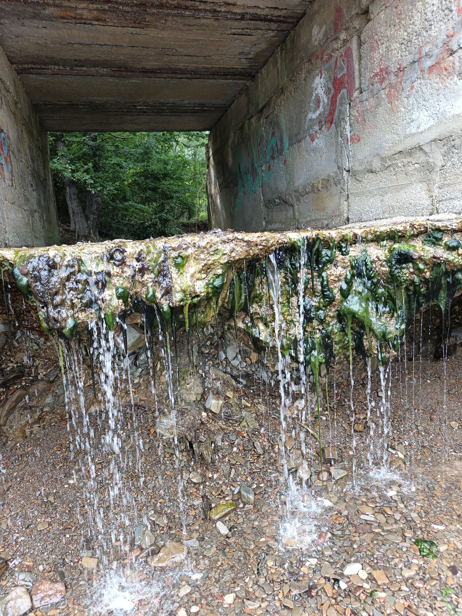The image depicts a close-up view of water cascading over a moss-covered concrete structure, likely part of a bridge or culvert, near the city of Pshada, Russia. The water flows over a rough, textured surface covered in vibrant green algae and darker, wet debris. Numerous thin streams of water create a shimmering curtain as they fall onto a ground covered in a variety of small, colorful stones and pebbles. In the background, visible through an opening of the concrete structure, lush green trees and foliage suggest a natural, wooded environment. The concrete itself shows signs of age and weathering, with visible rebar in the ceiling of the structure and graffiti in red and green spray paint on the walls. The scene captures a moment of natural beauty, with water and vegetation interacting with man-made infrastructure.