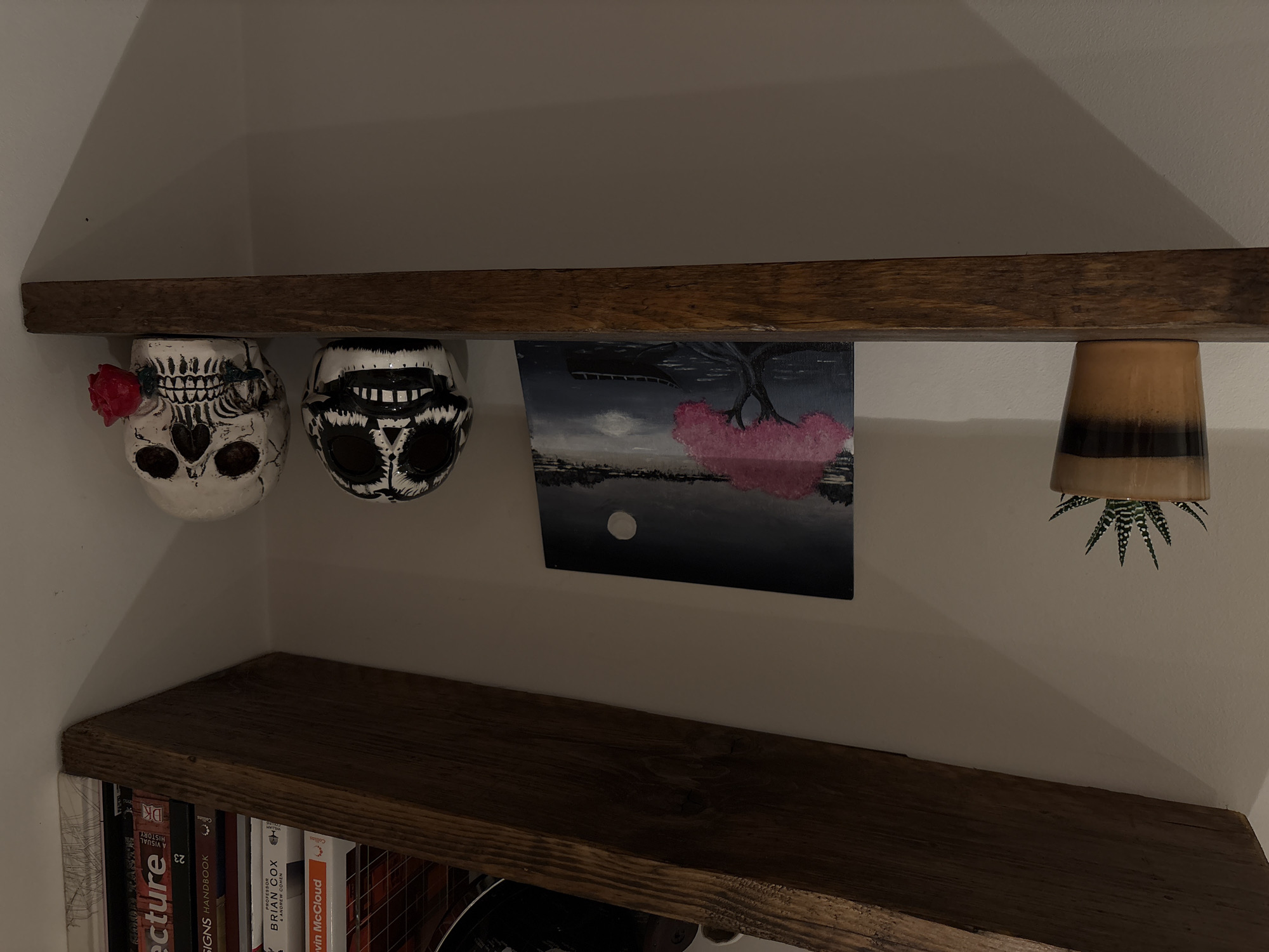The image shows a wooden shelf arrangement within a nook in a room. The top shelf supports several items: two decorative skull-shaped containers (one with a red rose), an art print depicting a scene with a tree and a pink blossom-like feature, and a small potted plant hanging upside down. The lower shelf contains various books and a round object of some kind. The environment appears to be a domestic interior. The image does not contain details that enable the location to be confidently identified within Ipswich, United Kingdom.