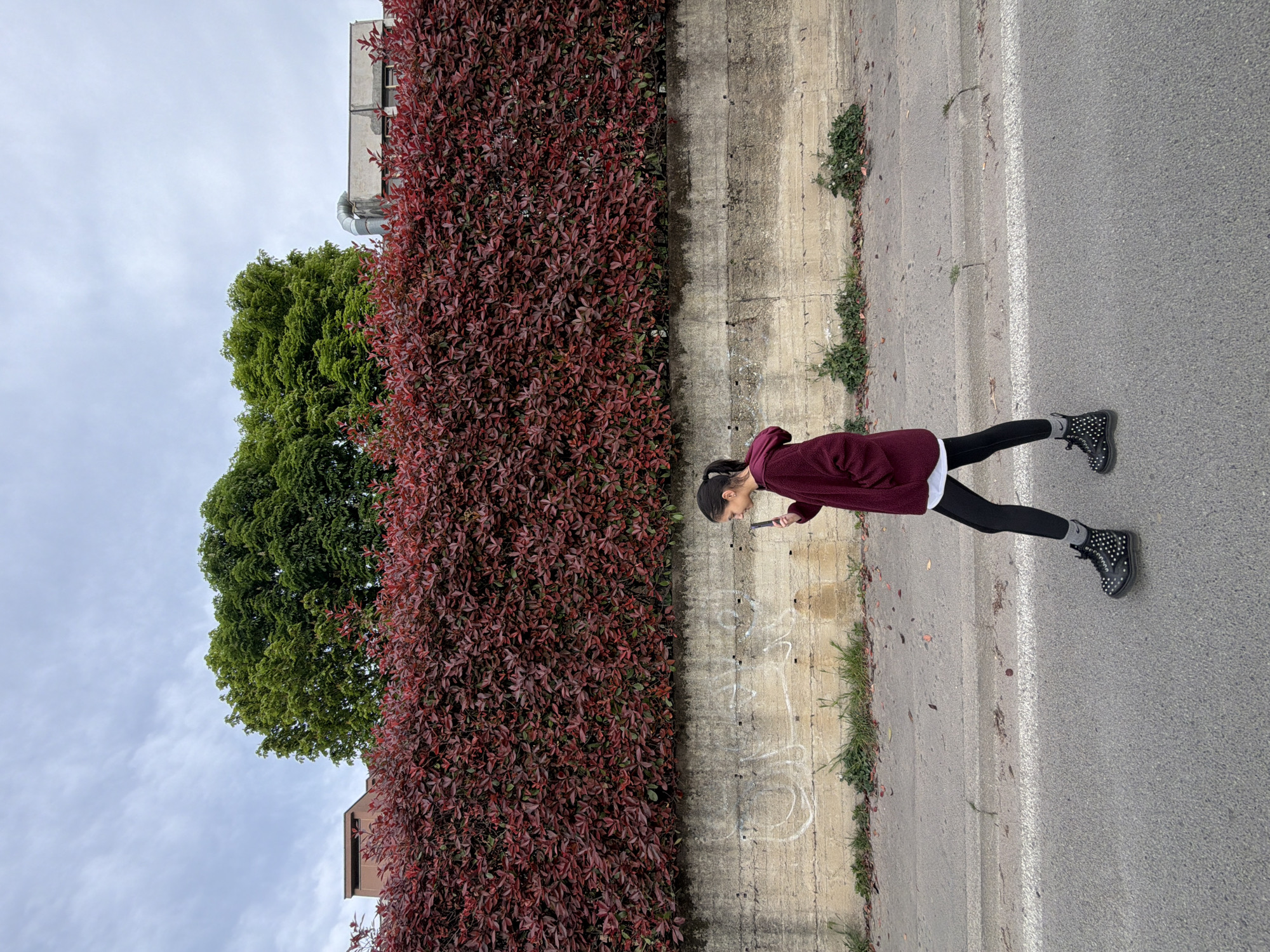 A full shot depicts a person in a maroon hoodie, white t-shirt, black leggings, grey socks, and black studded boots, standing on a grey asphalt street in Milan, Italy. The person is facing a concrete wall, using a smartphone in their hands. To the left of the concrete wall is a tall, dense bush of reddish-brown leaves. Further to the left, there is a large green tree and a building under a cloudy sky. White chalk-like markings are visible on the concrete wall. The street is bordered by a painted white line next to the concrete wall. Small plants grow along the base of the concrete wall.