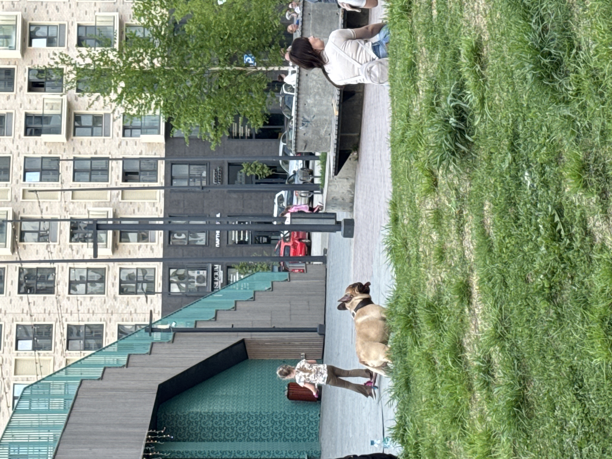 The image shows a public space in what appears to be a modern urban development. The location is Izhevsk, Russia based on the brand name visible in the image. The background consists of a multi-story residential building with a light-colored facade and dark window frames. The building is situated next to a structure with a green patterned wall and a series of steps. Black vertical light posts are evenly spaced along the pedestrian path. The scene includes several people, including a woman sitting on a bench near the top of the image, as well as a person walking a dog along the pathway closer to the bottom of the image. The dog is a medium-sized breed with a dark collar, and is situated next to a patch of grass. Several cars are parked on the street beyond the path. The overall environment suggests a well-maintained urban area intended for recreational and pedestrian use.