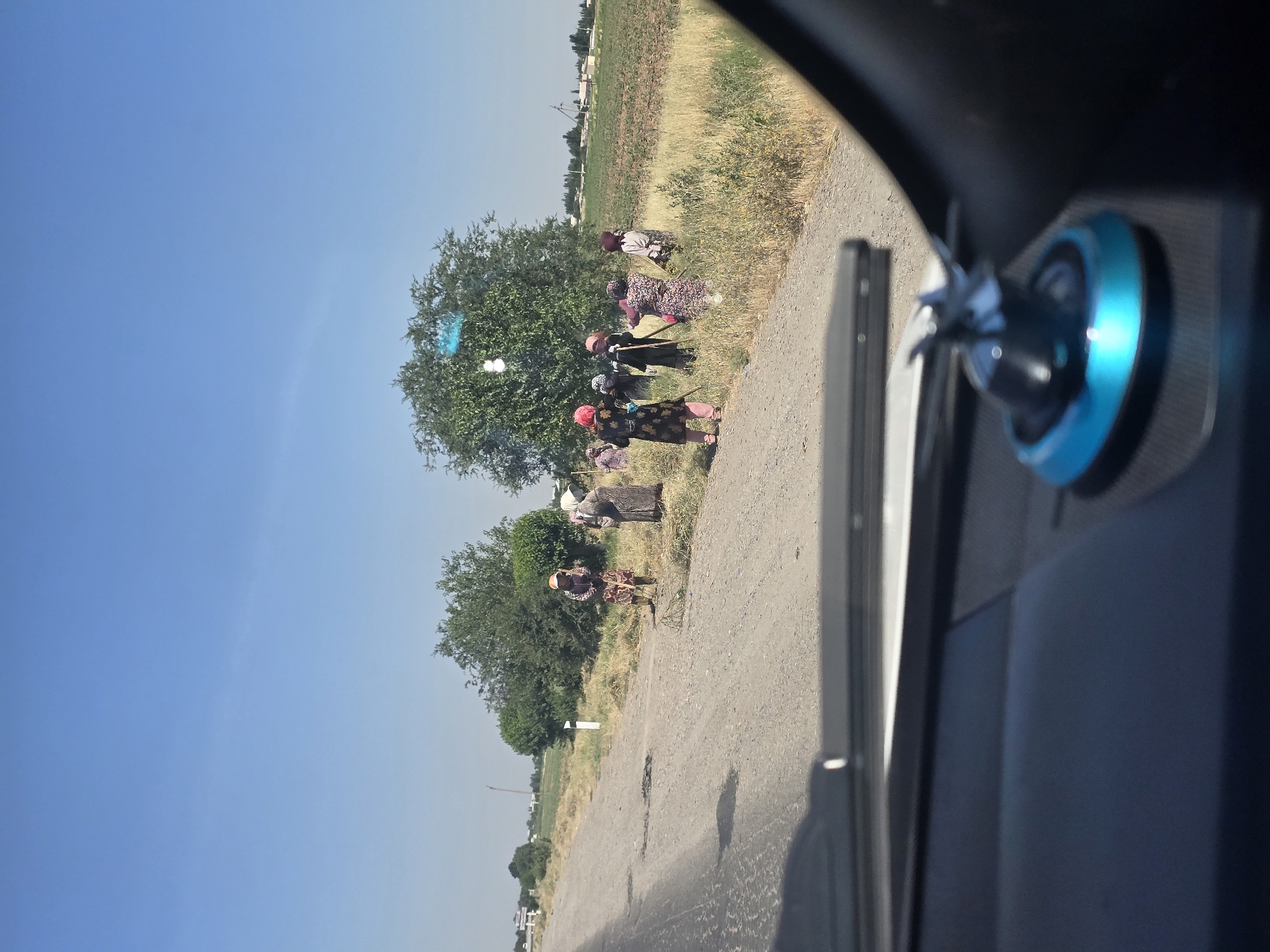 The image depicts a group of individuals, predominantly women dressed in traditional clothing, engaged in agricultural work, likely harvesting or gathering crops in a field. They are spread across a grassy and dry-earth area adjacent to a dirt road. The women are using tools that appear to be scythes or sickles, and some are carrying bundles. The environment is rural, with sparse vegetation, a large tree in the background, and a clear blue sky overhead. The foreground shows the interior of a vehicle, with a dashboard and a decorative object visible. The overall impression is of a sun-drenched, working landscape. The image is dated as being taken in Guzar, Uzbekistan.