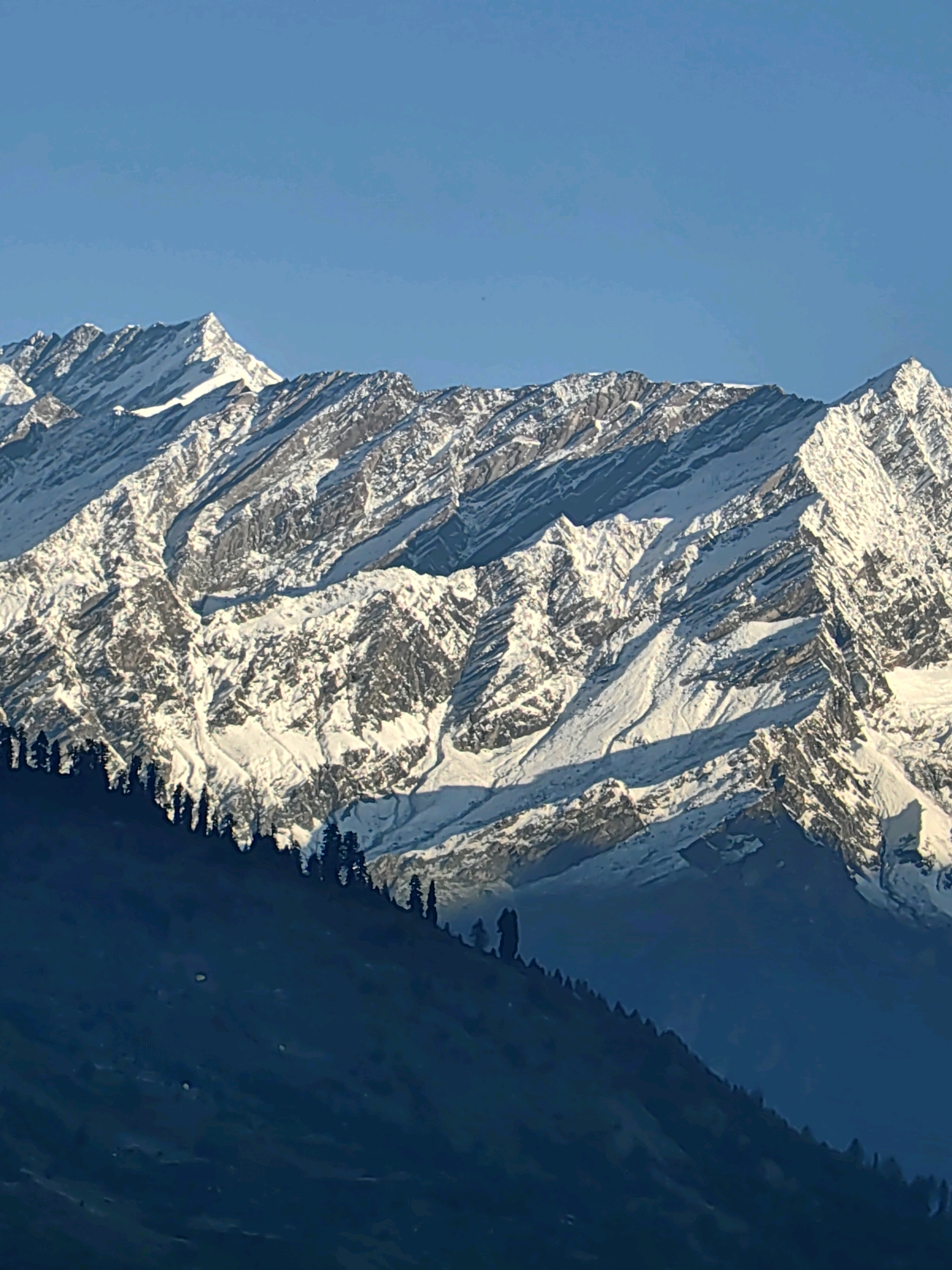 The image depicts a majestic mountain range, likely the Himalayas, with snow-capped peaks and a clear blue sky. The foreground features a dark, silhouetted hillside dotted with tall, slender pine trees, creating a stark contrast with the bright, snow-covered mountains behind them. A few small figures, possibly hikers, are visible on the hillside, adding a sense of scale to the vast landscape. The lighting suggests it is either early morning or late afternoon, casting long shadows across the mountains and highlighting the rugged texture of the terrain. The scene evokes a sense of natural beauty, grandeur, and tranquility.