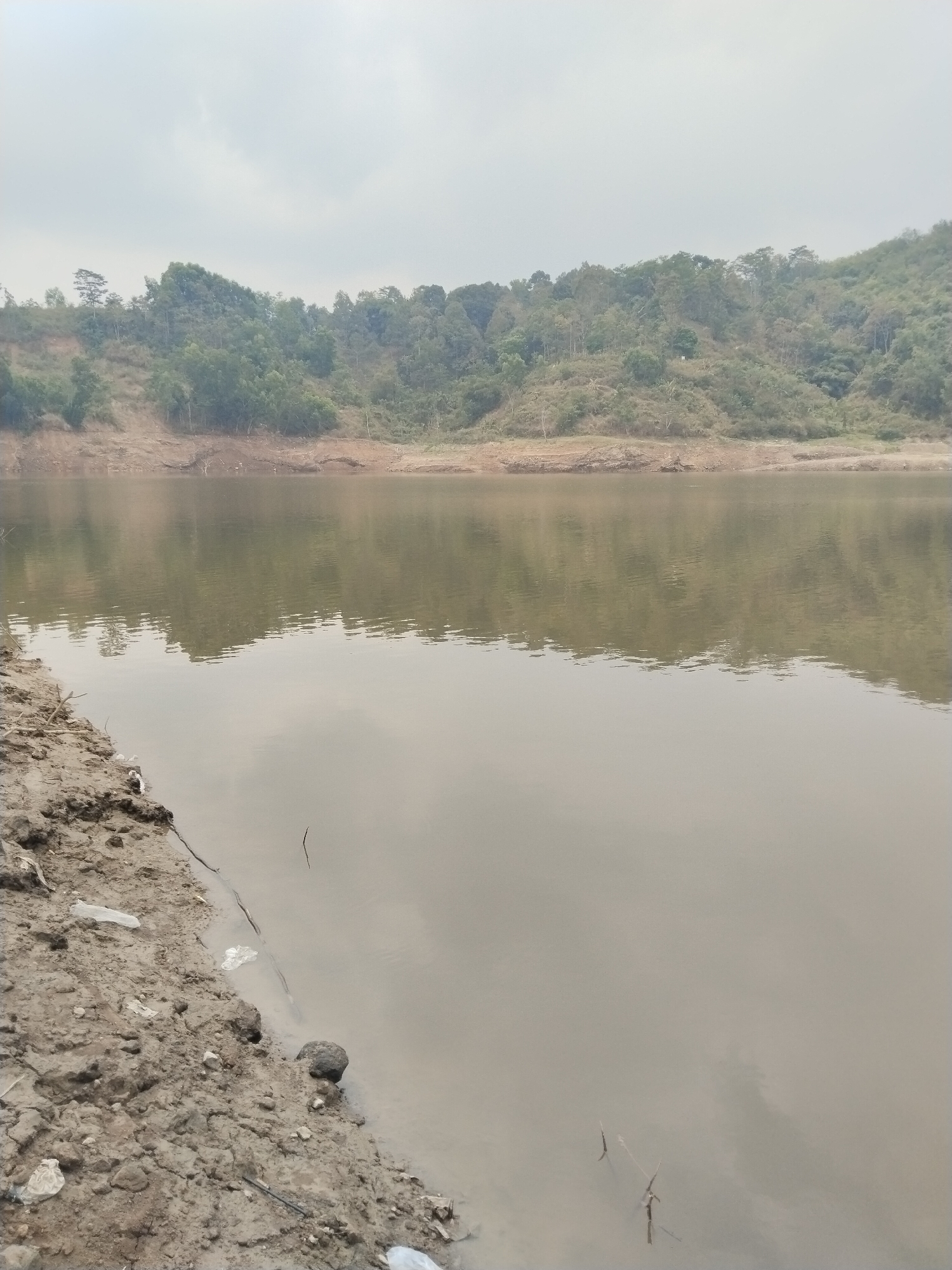 The image shows a wide, muddy body of water with a textured, dirt and debris-strewn shoreline on the left. The water is calm, reflecting the overcast sky and the forested, hilly terrain on the opposite bank. The distant landscape is densely vegetated with various shades of green foliage, covering rolling hills under a pale, cloudy sky. The overall scene is natural and tranquil, with no visible human activity or structures. The location is described as the Jatirejo reservoir in Jatirejo, Indonesia.