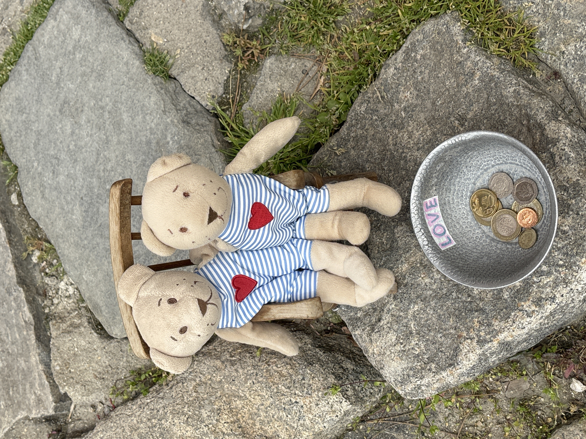 A photograph shows two stuffed teddy bears sitting in a small wooden chair on a gray stone surface. Both bears are wearing blue and white striped shirts with red hearts on them. Next to the bears is a small silver bowl filled with coins and a sticker that says "LOVE". The scene is set outdoors on a surface made of large gray stones, with patches of green grass and small plants growing between the stones. The location is likely in an outdoor area of Plovdiv, Bulgaria. The image suggests a whimsical and possibly sentimental scene.