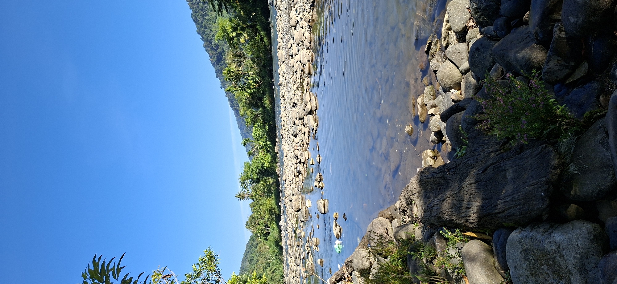 The image depicts a tranquil natural scene, likely a riverbed in Mane, Indonesia. The foreground is dominated by a collection of large, smooth river stones of varying sizes and shades of gray and brown. Some of these stones are submerged in the clear, shallow water of a river. The water's surface is calm, with gentle ripples reflecting the clear blue sky above. Partially submerged in the water, near the left bank, are a few pieces of plastic trash, appearing as white and blue bags.
Further into the frame, the riverbed continues, covered with a multitude of similar stones. The water narrows in the distance, flowing between the rocky banks. Beyond the river, the landscape transitions to lush green vegetation, including a variety of trees and tropical foliage. Palm trees are visible amongst the dense greenery, suggesting a tropical or subtropical climate. The background is characterized by rolling hills or mountains covered in thick, verdant forest.
The sky is a vibrant, cloudless blue, indicating a clear day. The lighting suggests it is daytime, possibly late morning or early afternoon, given the brightness and the shadows cast by the rocks and foliage. The overall impression is one of natural beauty and serenity, with the subtle presence of human-made debris hinting at the proximity of human activity to this natural environment.