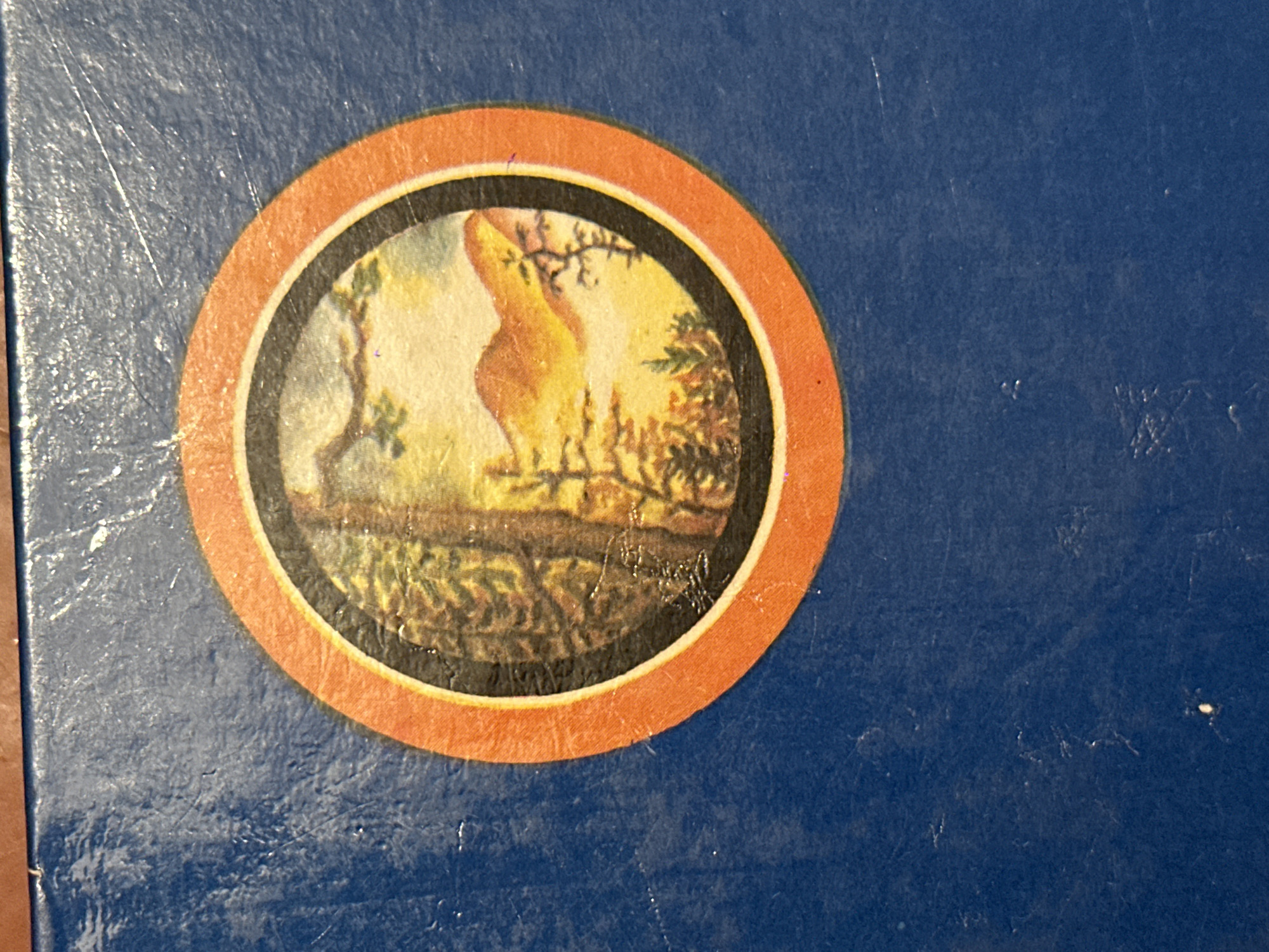 The image is a close-up of a circular illustration on a dark blue, textured surface. The illustration depicts a landscape with trees and mountains under a warm sky, possibly at sunset or sunrise. The outer edge of the circle is a vibrant orange, followed by a black ring, and then the scene itself. The blue surface shows signs of wear, with faint scratches and dust specks. There are no people or animals visible. The image does not contain any identifiable landmarks or context that would allow for its location to be determined in the city of Biysk, Russia.