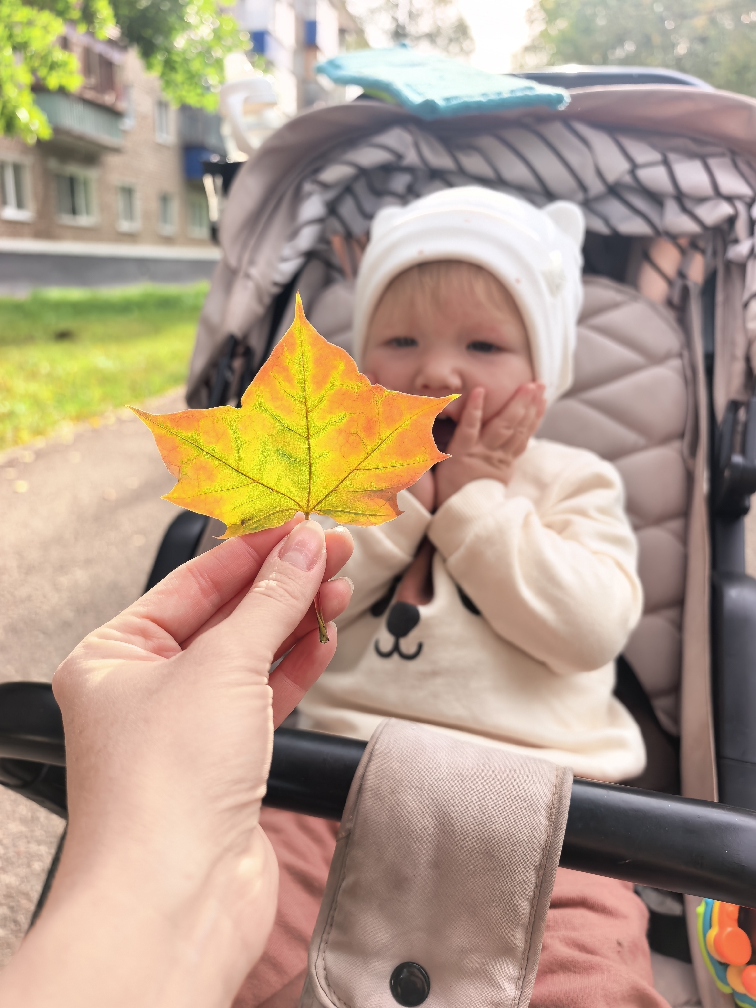 A close-up shot focuses on a person's hand holding a colorful autumn leaf in the foreground. Behind the hand and slightly out of focus, a baby sits in a stroller. The baby is wearing a white hat with bear ears and a light-colored sweater with a bear face design. The baby's hands are near its mouth. The background shows a blurry view of a building and greenery, suggesting an outdoor setting, possibly a park or residential area in Sterlitamak, Russia. The lighting suggests it is daytime.