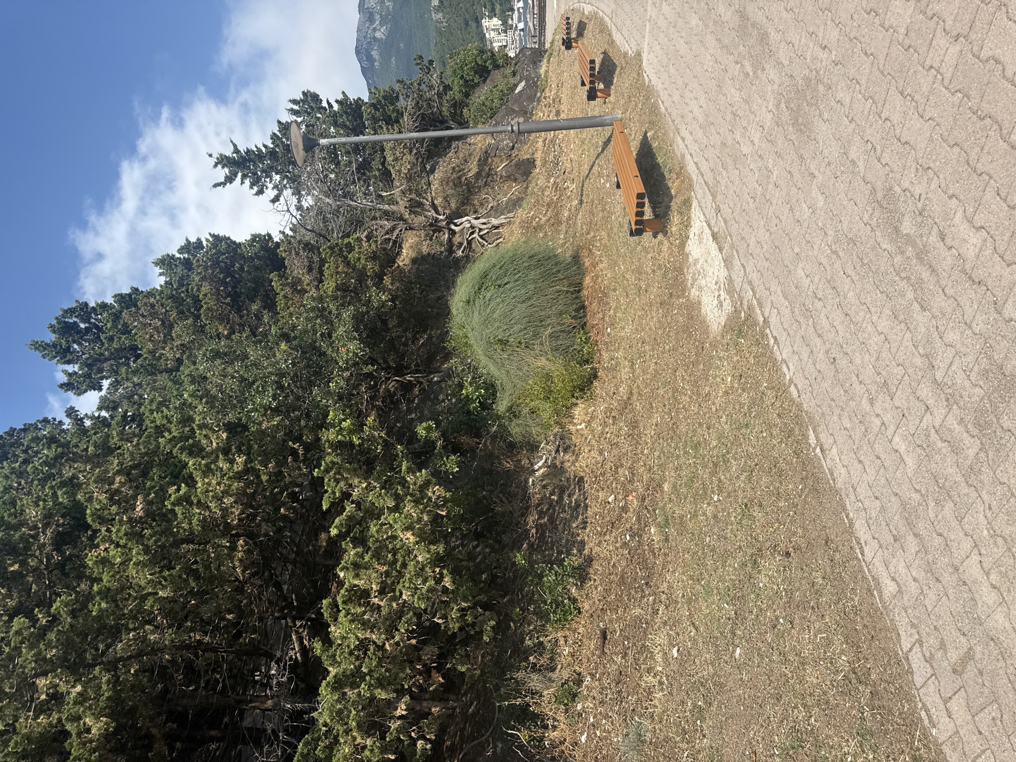 The image shows a paved walkway with two wooden benches situated on a grassy slope. The walkway is made of light-colored interlocking pavers. The grass on the slope is dry and sparse in some areas, with patches of dirt and a few small green bushes.
Dominating the left side of the frame is a dense cluster of evergreen trees, possibly cypresses or junipers, with a weathered, bare tree trunk reaching upwards. A tall metal lamp post with a circular fixture stands near the evergreen trees. In the background, beyond the slope and trees, a town with buildings and a mountain are visible under a bright blue sky with scattered white clouds. The sun is shining, casting shadows, suggesting it is daytime.
The scene appears to be a public park or viewpoint in Boreti, Montenegro. There are no people visible in the image. The overall impression is one of a tranquil, scenic spot that offers a place to rest and enjoy the view. The orientation of the image is rotated 90 degrees clockwise.