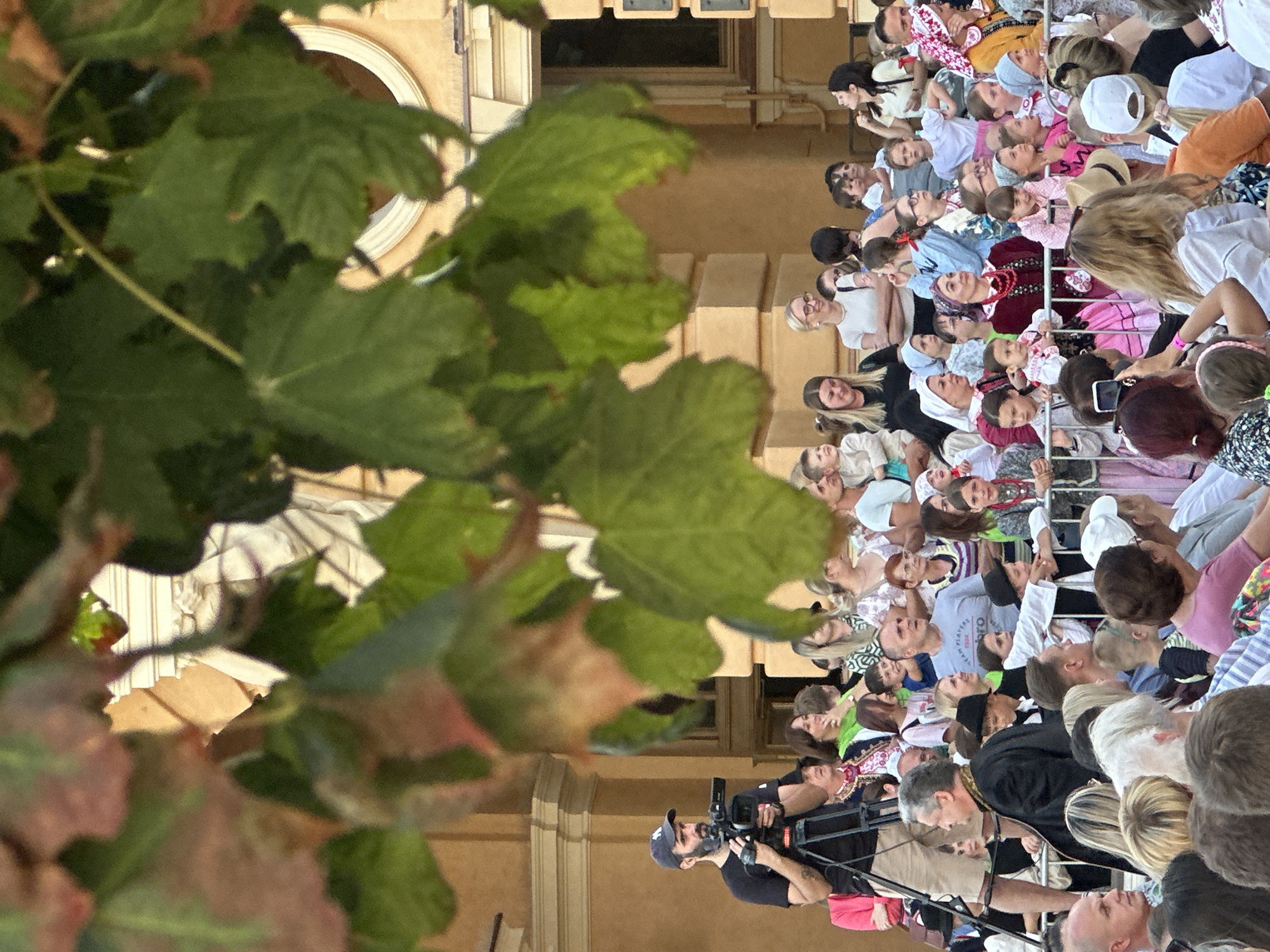 A medium shot captures a crowd of people gathered outdoors, with a man operating a video camera on a tripod in the foreground. The man, wearing a dark t-shirt and a baseball cap, is positioned to the left of the frame. Behind him, a diverse group of individuals, including children and adults, are visible. Many are looking towards the right, suggesting they are observing an event. Some are dressed in traditional folk costumes, characterized by colorful embroidery and headscarves. The background reveals an ornate building with classical architectural features, including columns and arched windows. Lush green leaves from a nearby tree partially obscure the view of the building and the sky, creating a dappled lighting effect. The scene appears to be a cultural event taking place in Nowy Sącz, Poland.