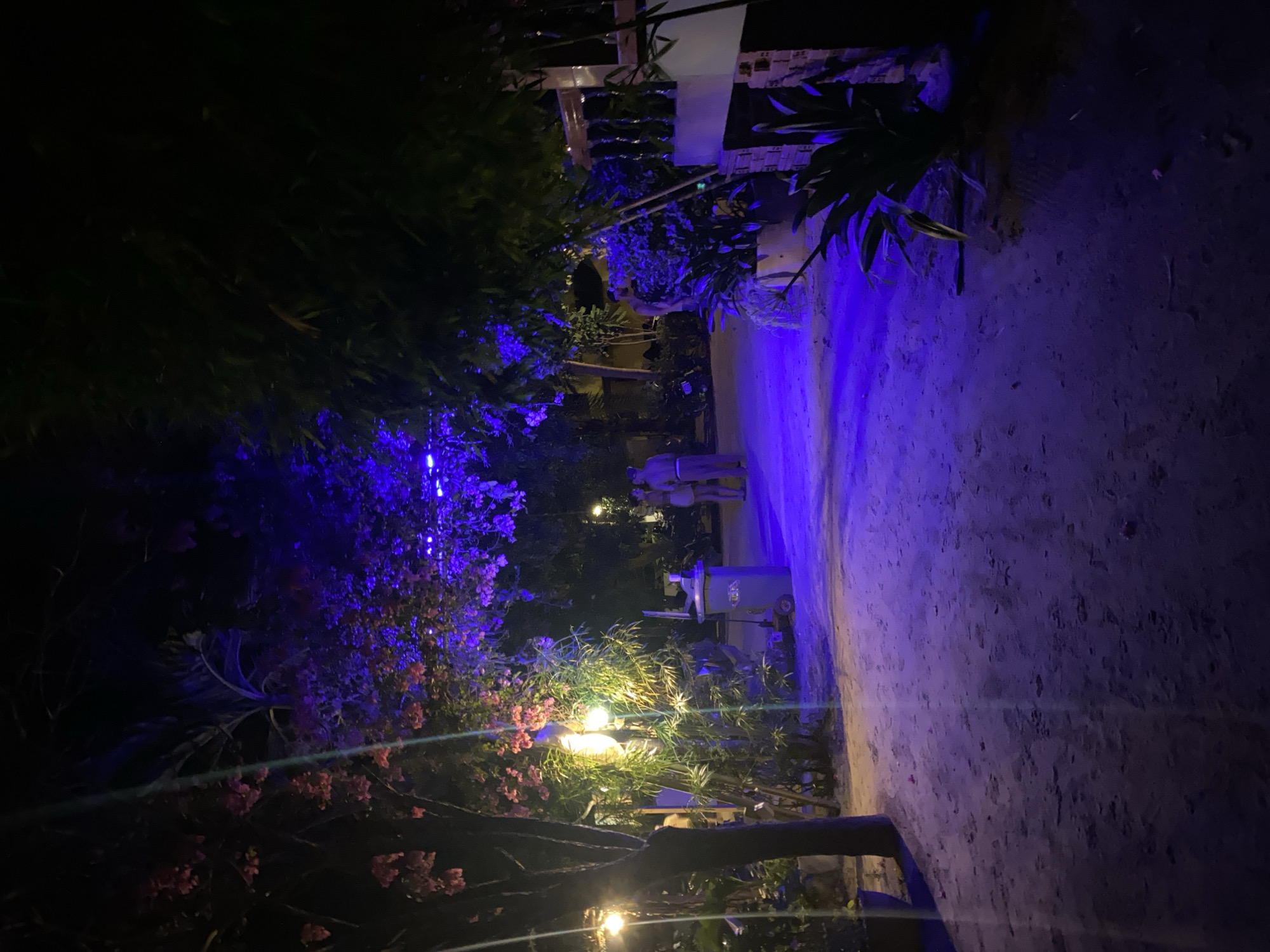 The image depicts an outdoor scene in ตำบลเกาะพะงัน, Thailand at night. A sandy path runs through the center of the image, illuminated with blue light. On either side of the path, vegetation is visible, including flowering shrubs and trees. There are light fixtures casting a warm yellow glow amidst the foliage. In the background, two people are standing near a trash can. String lights are draped overhead. A wooden post and rope are in the foreground.