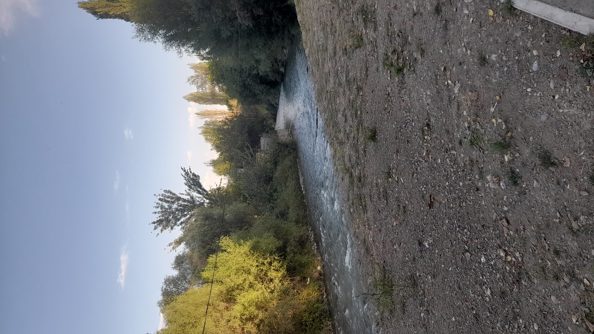 The image depicts a natural scene featuring a river flowing through a vegetated area, likely on the outskirts of Osh City, Kyrgyzstan, given its characteristic landscape. The river, appearing to be of moderate width and depth, has a slightly turbulent surface with visible ripples and small waves, indicating a gentle current. The water is a muted blue-gray color, reflecting the overcast sky.
The riverbanks are lined with dense foliage, comprising a mix of trees and shrubs. On the left bank, the vegetation is particularly lush and vibrant green, bathed in sunlight, creating a strong contrast with the dappled shade on the right bank. The trees vary in height and density, with some appearing deciduous, judging by the lighter green hues and less compact canopy. The ground along the river's edge, especially in the foreground, is composed of gravel and soil, with scattered dry leaves and sparse patches of grass, suggesting an autumn or late summer setting.
In the middle ground, a small, weathered stone structure or retaining wall is visible on the right bank, possibly part of a bridge abutment or an embankment fortification. Beyond this, the river continues to wind its way through the landscape, with more trees and vegetation lining its course. The sky above is a pale blue with scattered, wispy white clouds. The overall impression is one of a tranquil natural environment. There are no people or animals visible in the image.