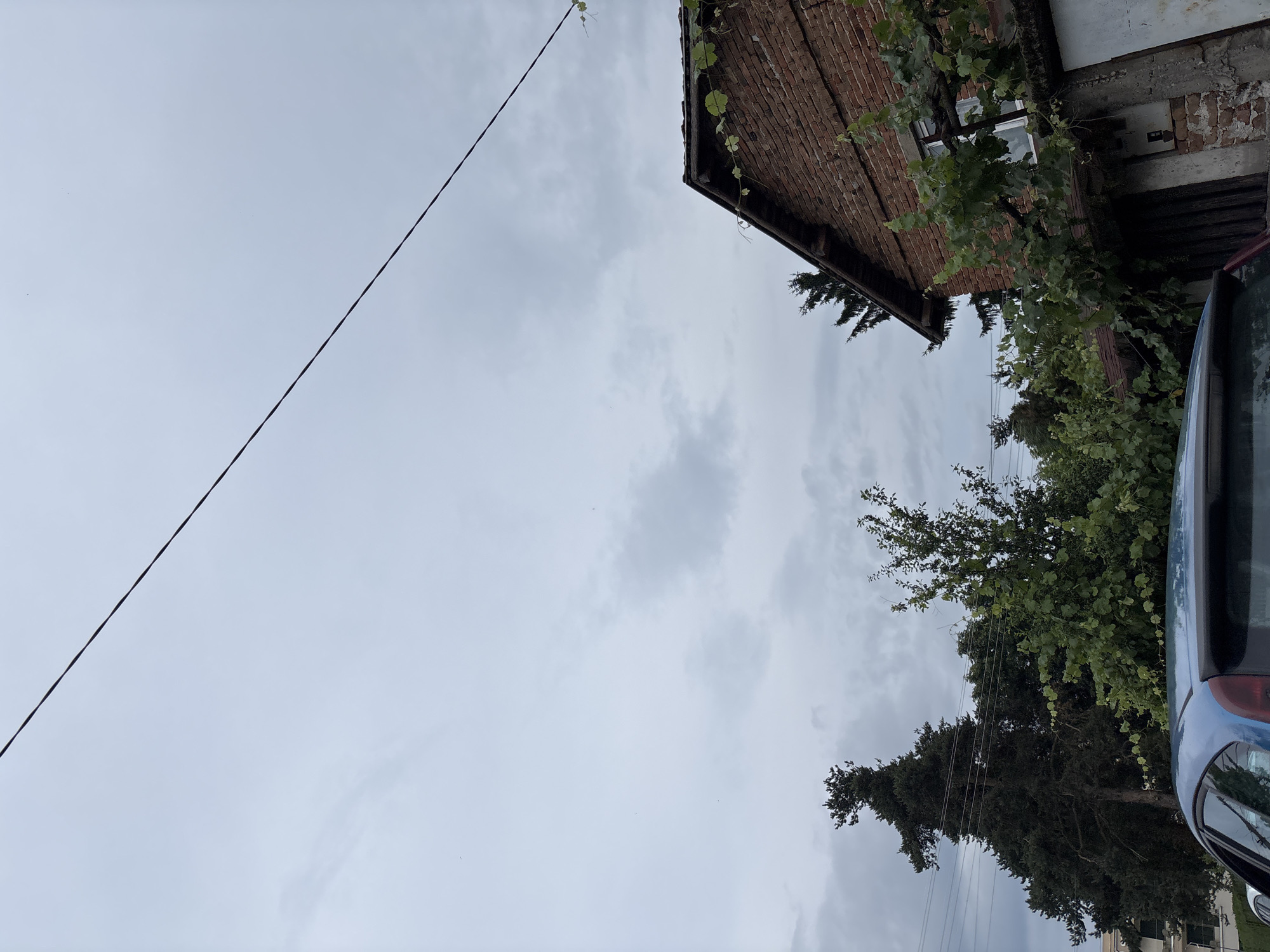 The image captures a view from Garmen, Bulgaria, looking upwards towards a cloudy sky. In the foreground, the rear of a blue car is visible, partially obscuring the lower part of the scene. To the left, a tall, dark green conifer tree stands prominently. To the right, a brick house with a tiled roof is visible, with green vines growing along the roofline and around a window. The sky is overcast with grey clouds, and a thin black wire stretches diagonally across the upper portion of the frame. Several smaller trees and foliage are scattered between the conifer and the house, and some electrical wires are faintly visible in the background.
