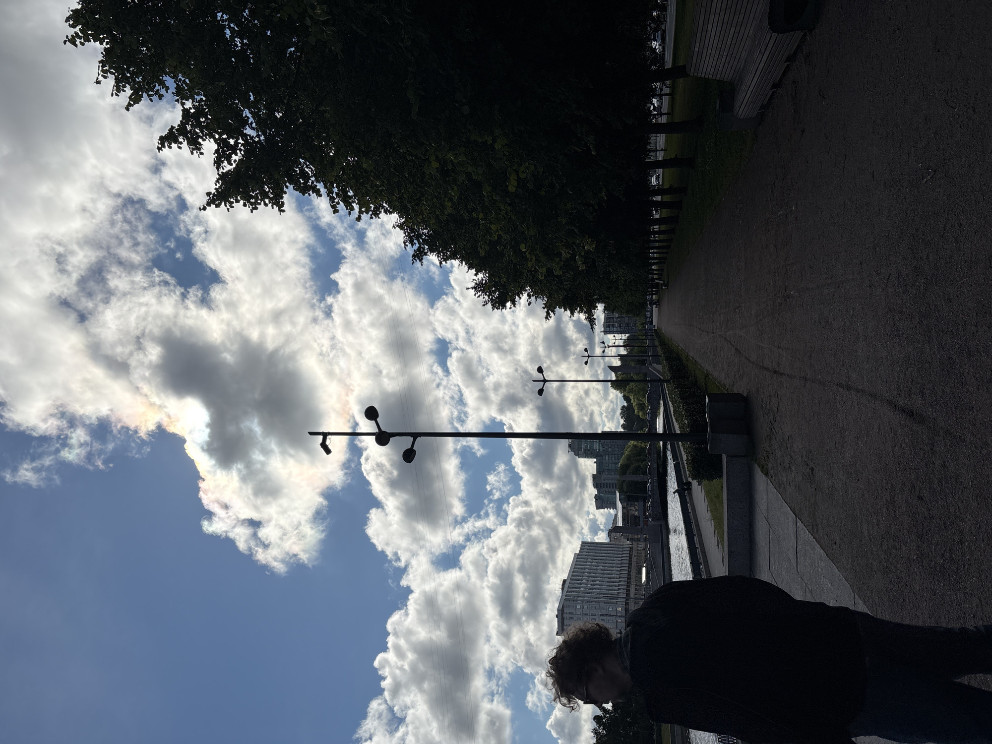 This is a wide-angle, low-angle, vertical photograph taken on a sunny day with scattered clouds, possibly at dusk or dawn given the lighting. The scene depicts a waterfront promenade in Saint Petersburg, Russia, likely along the Neva River or one of its canals.
In the foreground, a person is seen from the back and left side, silhouetted against the bright sky. They have curly hair and are wearing a dark jacket and blue jeans. The person is facing left, looking towards the water and buildings across it.
To the left of the person is a paved walkway bordered by a low stone wall or embankment overlooking a body of water. Across the water, several modern apartment buildings and a taller, older building with a grid-like facade are visible. The water is calm, with a dark surface reflecting the sky and buildings.
The middle ground features a tree-lined promenade with a gravel path. Several lampposts with multiple lights are positioned along the path. A line of large, mature trees with dense dark green foliage forms a canopy over the right side of the promenade, casting shadows on the path. In the distance, cars are visible on a road behind the trees, suggesting a city setting. A wooden park bench is situated on the right side of the promenade.
The sky is a vibrant blue, with large, fluffy white clouds that catch the sunlight, creating iridescent colors, particularly around the top right portion of the frame. The lighting suggests a dramatic sky, possibly with sun dogs or a circumhorizontal arc. Power lines are visible across the sky in the distance. The overall atmosphere is serene and urban, with a focus on the contrast between the natural elements of the sky and trees, and the man-made structures of the city.