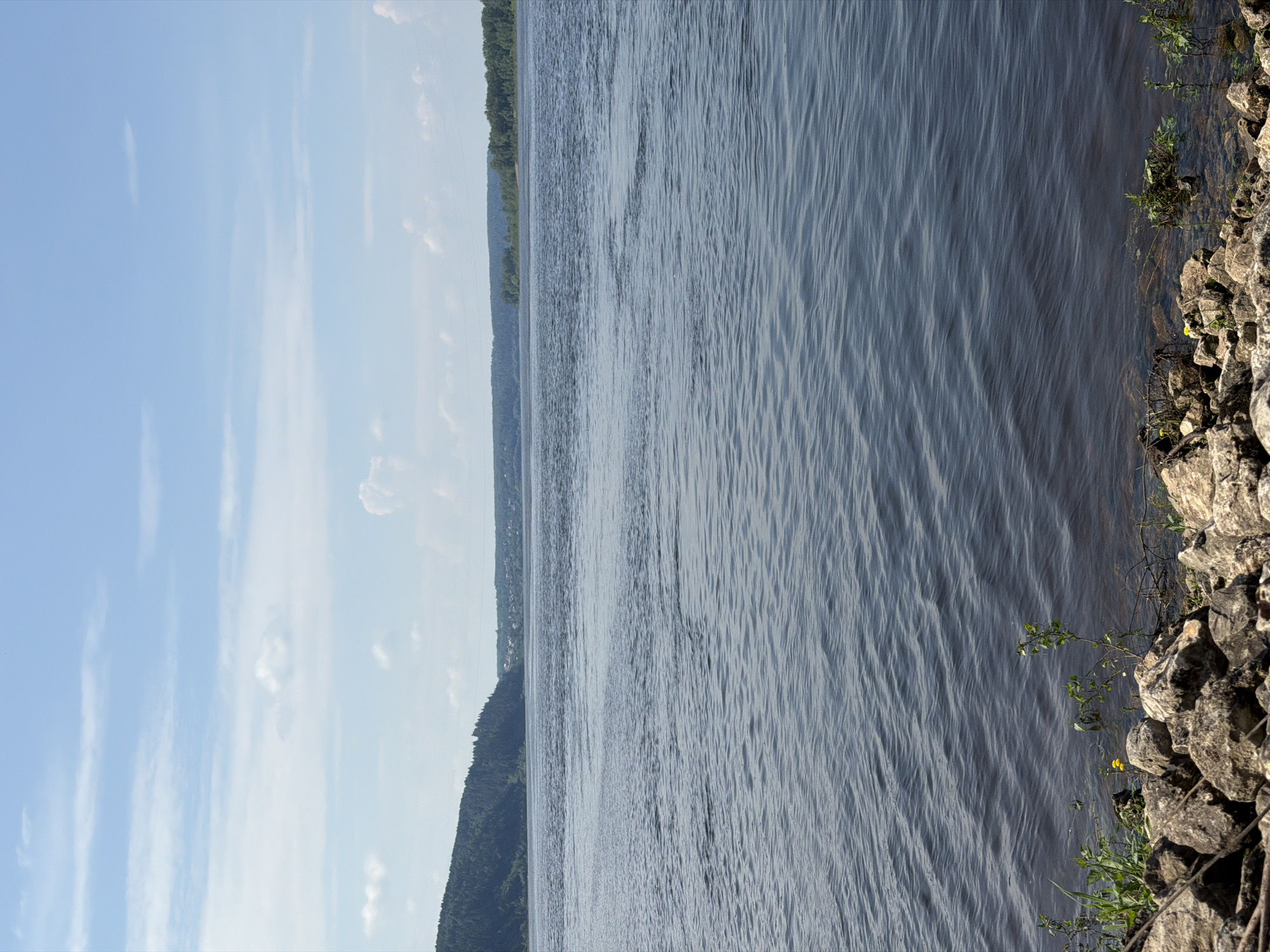 The image depicts a wide, dark blue river under a bright blue sky with scattered white clouds. The river surface shows gentle ripples. On the far bank, a dense green forest covers a rolling hill, with a small settlement visible in the distance near the top of the hill. The foreground features a rocky shoreline with some sparse green vegetation and a few small yellow flowers. The scene is likely a view of the Kama River in or near Chaikovsky, Russia, a city known for its location on the river. No people are present in the image.