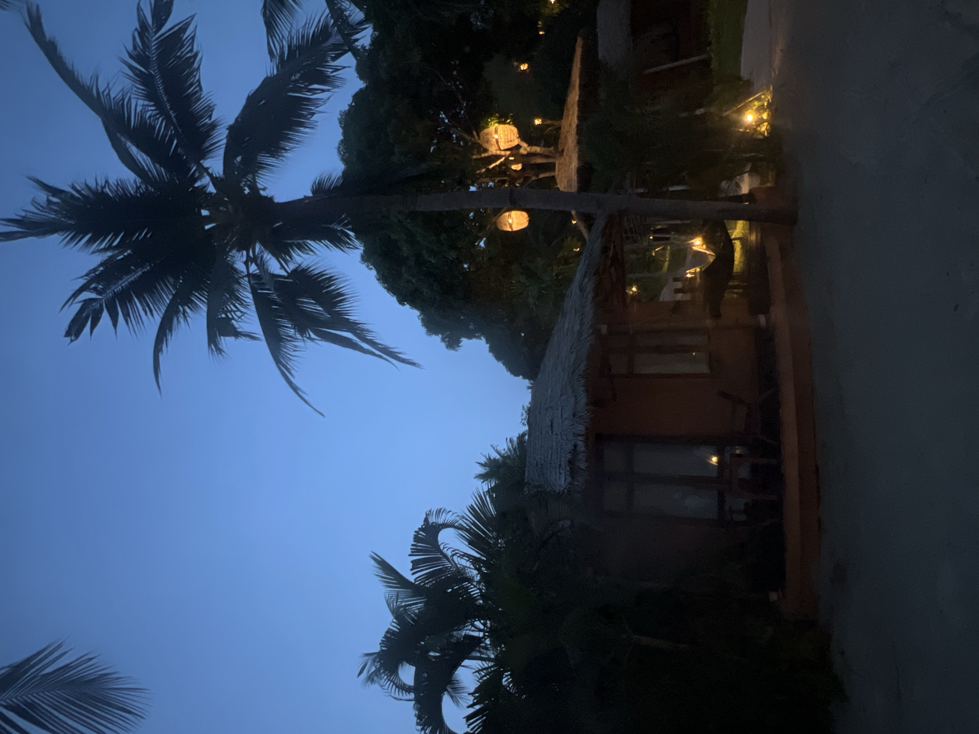 The image depicts a tropical scene at night in Baan Thong Po, Thailand. A tall palm tree dominates the left side of the frame, its fronds silhouetted against a blue twilight sky. Adjacent to the tree, there is a wooden structure, possibly a building or a hut, with a thatched roof. Lanterns are visible hanging in the foliage behind and to the left of the hut, providing illumination. To the right, a pathway or clearing extends, fading into darkness. Additional vegetation, including more palm trees, is seen at the bottom of the image. The overall scene suggests a tropical resort or residential area during the evening hours.