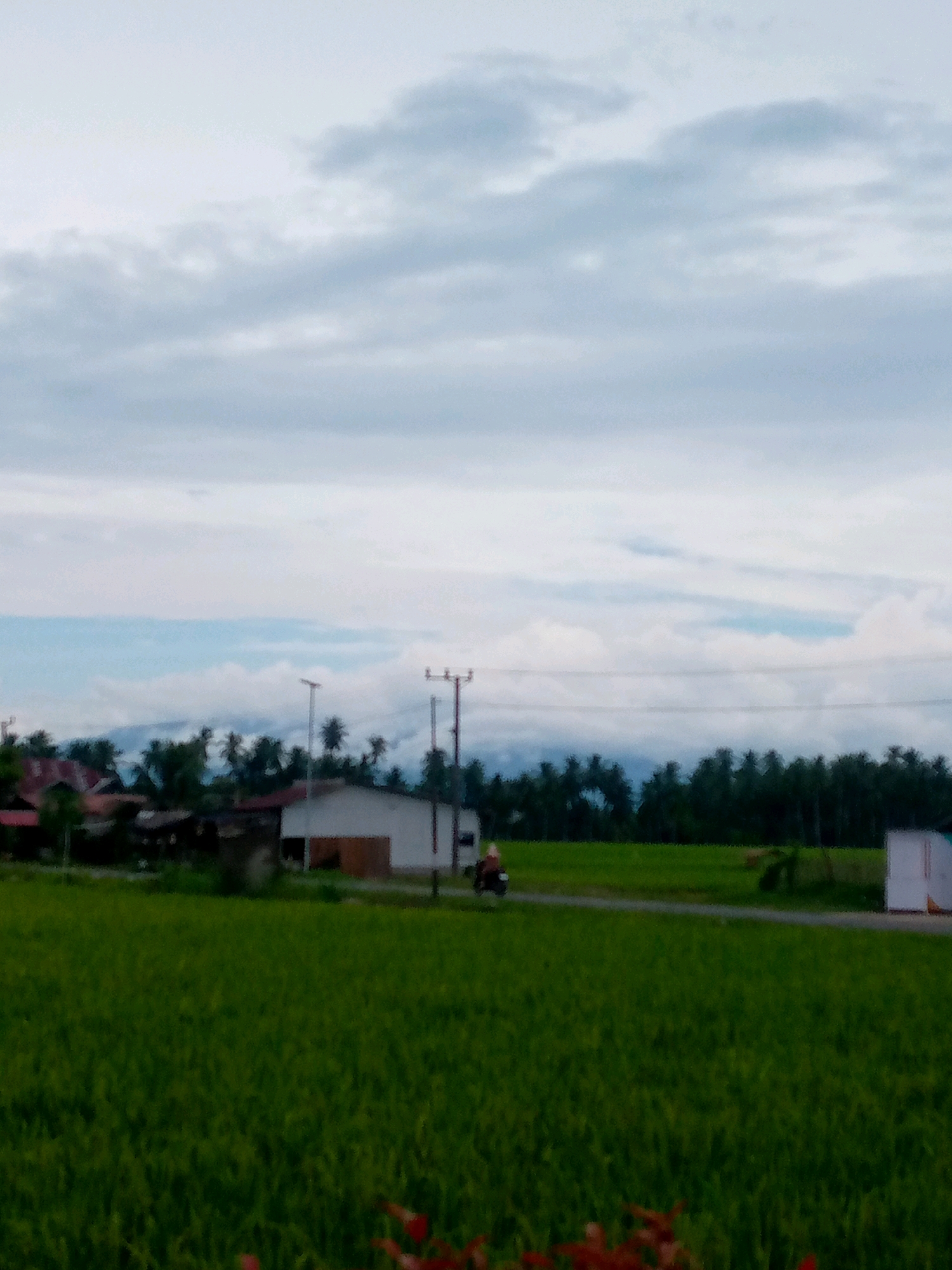 The image depicts an outdoor scene with a lush green field in the foreground. In the middle ground, there are several buildings, including a white building with brown trim and a few houses with reddish roofs, partially obscured by trees. A road runs along the edge of the field, and a person is seen riding a motorcycle on this road. Beyond the buildings and trees, there appears to be a distant landscape or mountains under a cloudy sky. The overall impression is of a rural or semi-rural environment.
