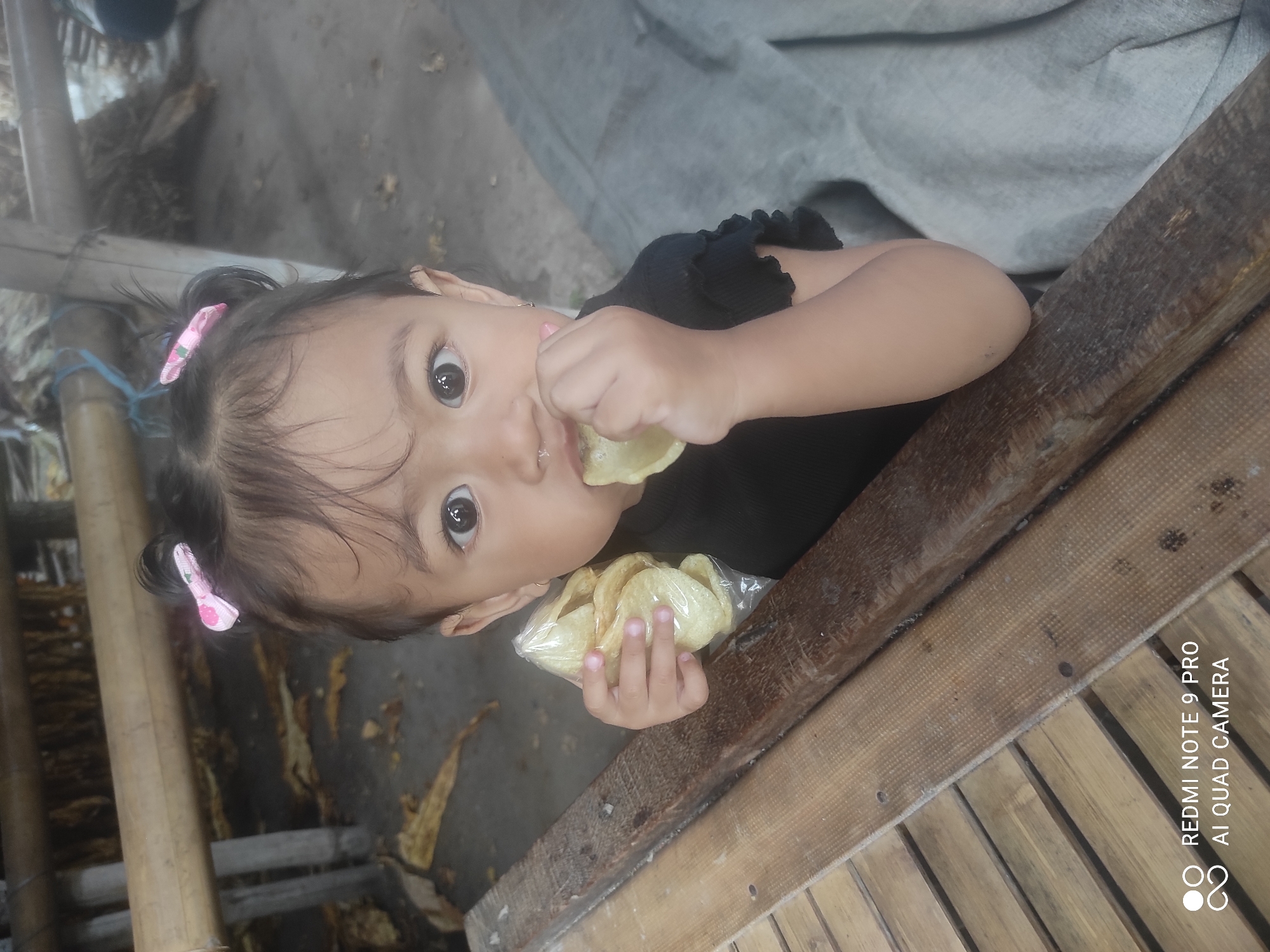 In the city of Sakra, Indonesia, a young child with dark hair styled in two pigtails, adorned with pink bows, is captured from the chest up. The child, wearing a black ruffled shirt, is holding a plastic bag of light-colored snacks and bringing one to their mouth. They are positioned behind a wooden table with a light-brown slatted surface and a darker wooden plank running along the edge. The background is blurred, showing a rough, earthy ground with dried leaves, bamboo structures, and a gray, draped fabric. The lighting suggests an outdoor or semi-outdoor environment during the day.