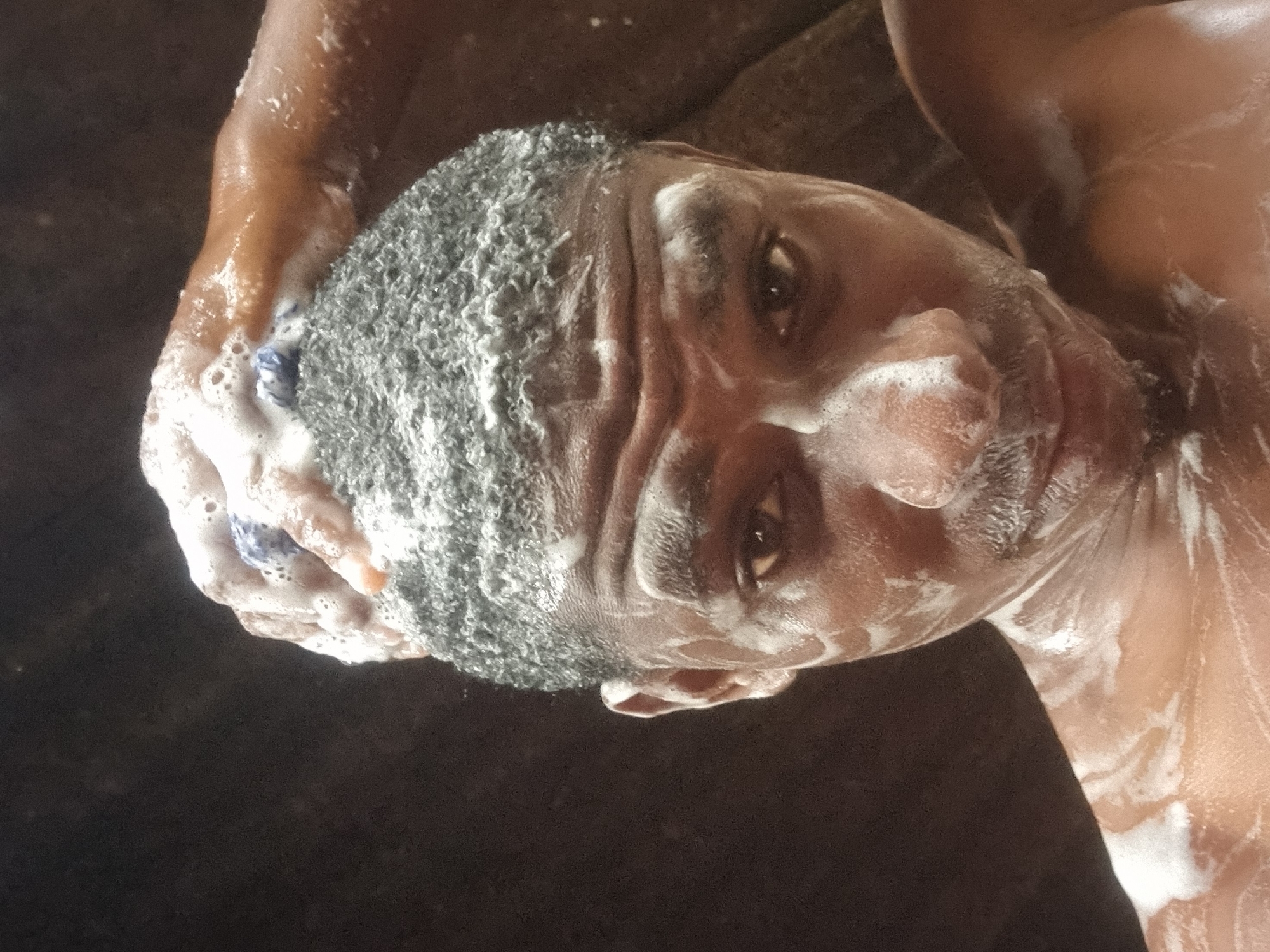 A dark-skinned man is being washed. He is covered in soap suds, and his eyes are open. His head is tilted. The location, Onitsha, Nigeria, cannot be determined from the image.