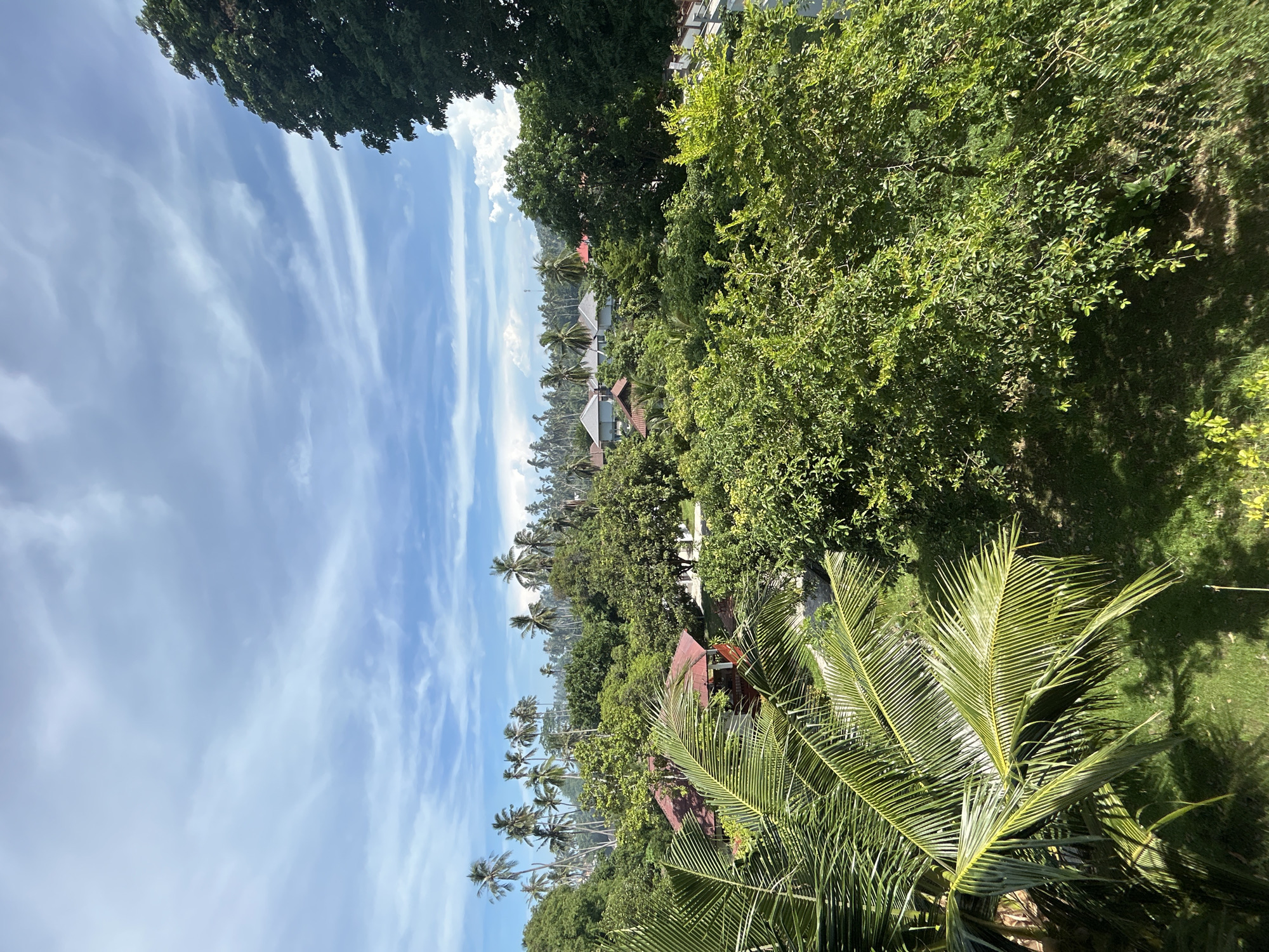 This is a medium-angle, eye-level outdoor shot showcasing a lush tropical landscape with a scattering of residential buildings under a partly cloudy sky. In the foreground, a large palm frond dominates the left side of the frame, its bright green leaves catching the sunlight and casting shadows on the manicured lawn below.
The middle ground reveals a cluster of houses with reddish-brown tile roofs peeking through dense foliage. Beyond these, a dense forest of palm trees stretches towards the horizon, interspersed with other verdant trees. The buildings appear to be part of a village or resort, with visible roofs and some structures suggesting balconies or verandas.
The sky is a vivid blue, streaked with wispy white clouds that suggest a breezy day. The overall impression is one of a tropical paradise, likely located in a coastal or island region, consistent with the description of Baan Hua Thanon, Thailand, known for its beaches and coconut plantations. No people are visible in the image. The scene is tranquil and bathed in natural light, highlighting the vibrant greens of the vegetation.