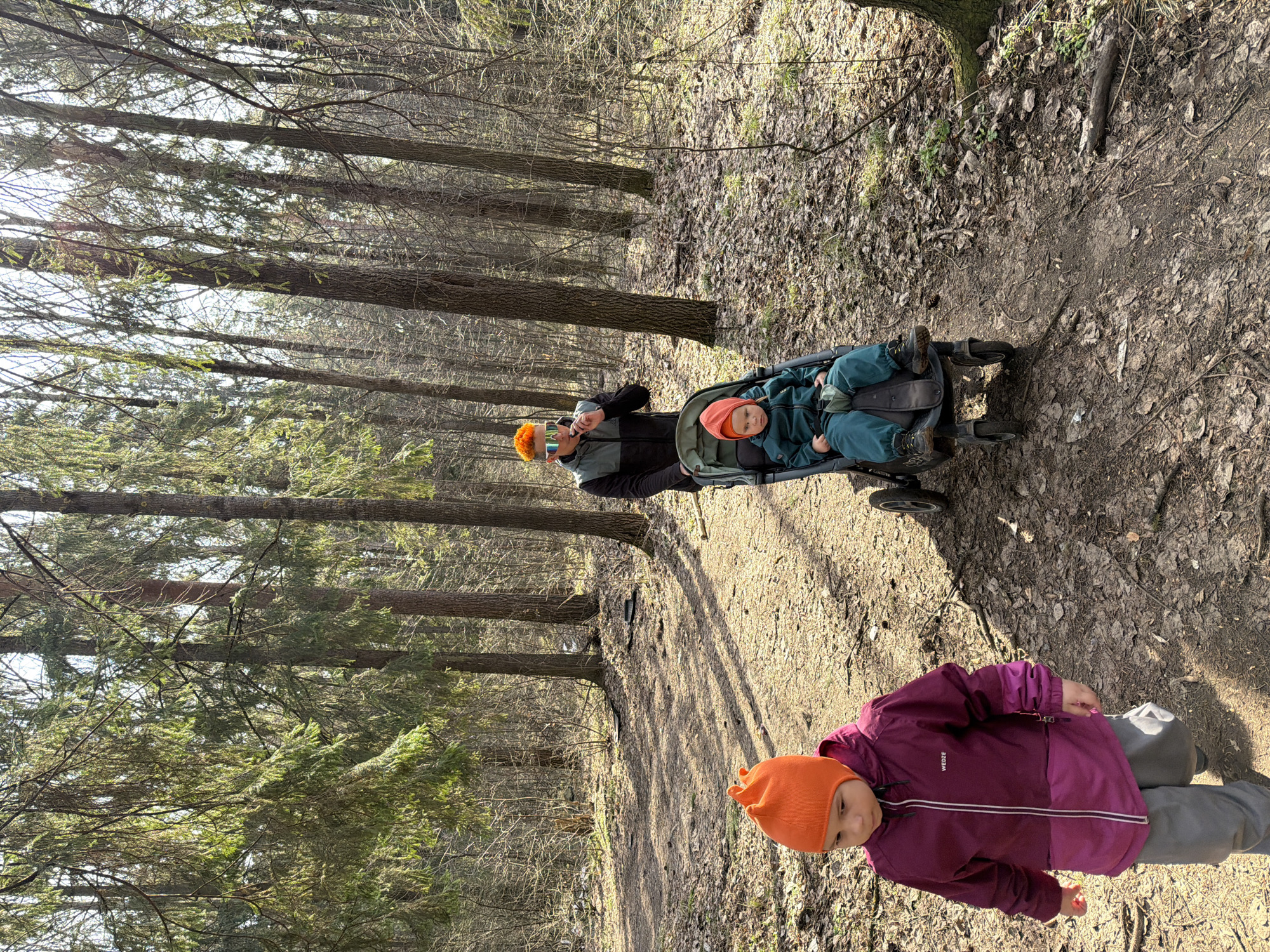 The image shows a family in a forest setting, likely located near the city of Chaikovsky, Russia. A person is pushing a stroller with a child inside. Another child, wearing a purple jacket and orange hat, stands in the foreground. The background consists of trees and leaf-covered ground, suggesting a natural wooded area. The presence of the family suggests a recreational activity.