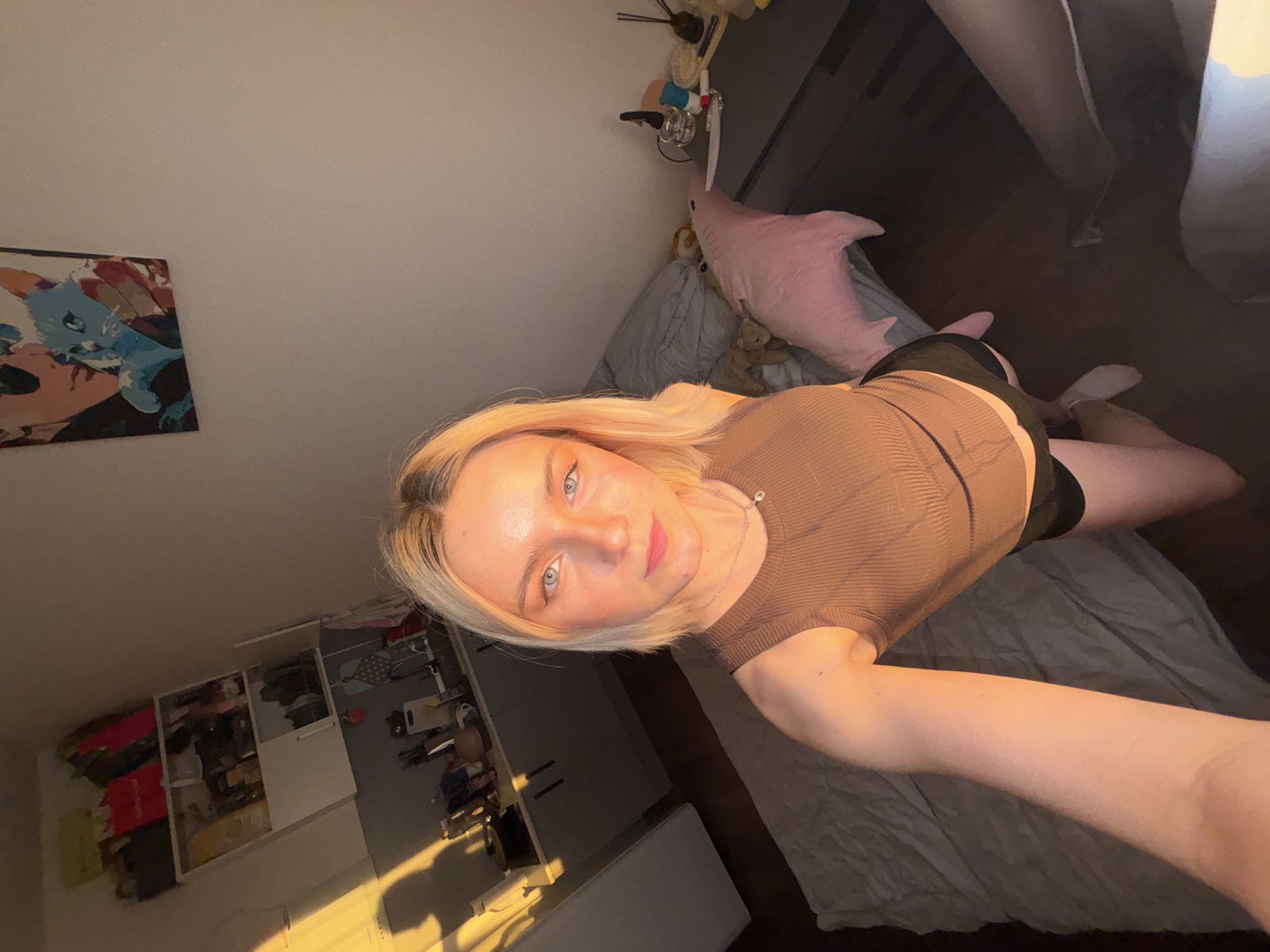 This selfie captures a young woman in an indoor, residential setting, likely a bedroom, illuminated by warm, directional light suggestive of either late afternoon or early morning. The woman, appearing to be in her late teens or early twenties, has blonde hair, light blue or green eyes, and fair skin. She is wearing a brown ribbed tank top and black shorts, along with a necklace featuring a small pendant. Posing on a bed with grey bedding, she looks directly at the camera with a neutral to slightly smiling expression.
The background reveals several details of the room. On the bed, next to the woman, rests a distinctive pink shark-shaped plush toy, accompanied by other less visible stuffed animals. A colorful painting or print, depicting stylized figures including a blue creature, is mounted on the wall to her left. Further into the room, a white shelving unit or open wardrobe is visible, packed with various personal belongings such as clothes, bags, and what appears to be kitchen utensils and cutting boards. Miscellaneous items like bottles and brushes are also scattered on top of the unit. The floor is dark and seems to be made of wood.
The scene portrays a personal, lived-in space. There is no visible text in the image. The image itself does not contain any specific cues to confirm the provided location context of "Unknown, Russia."