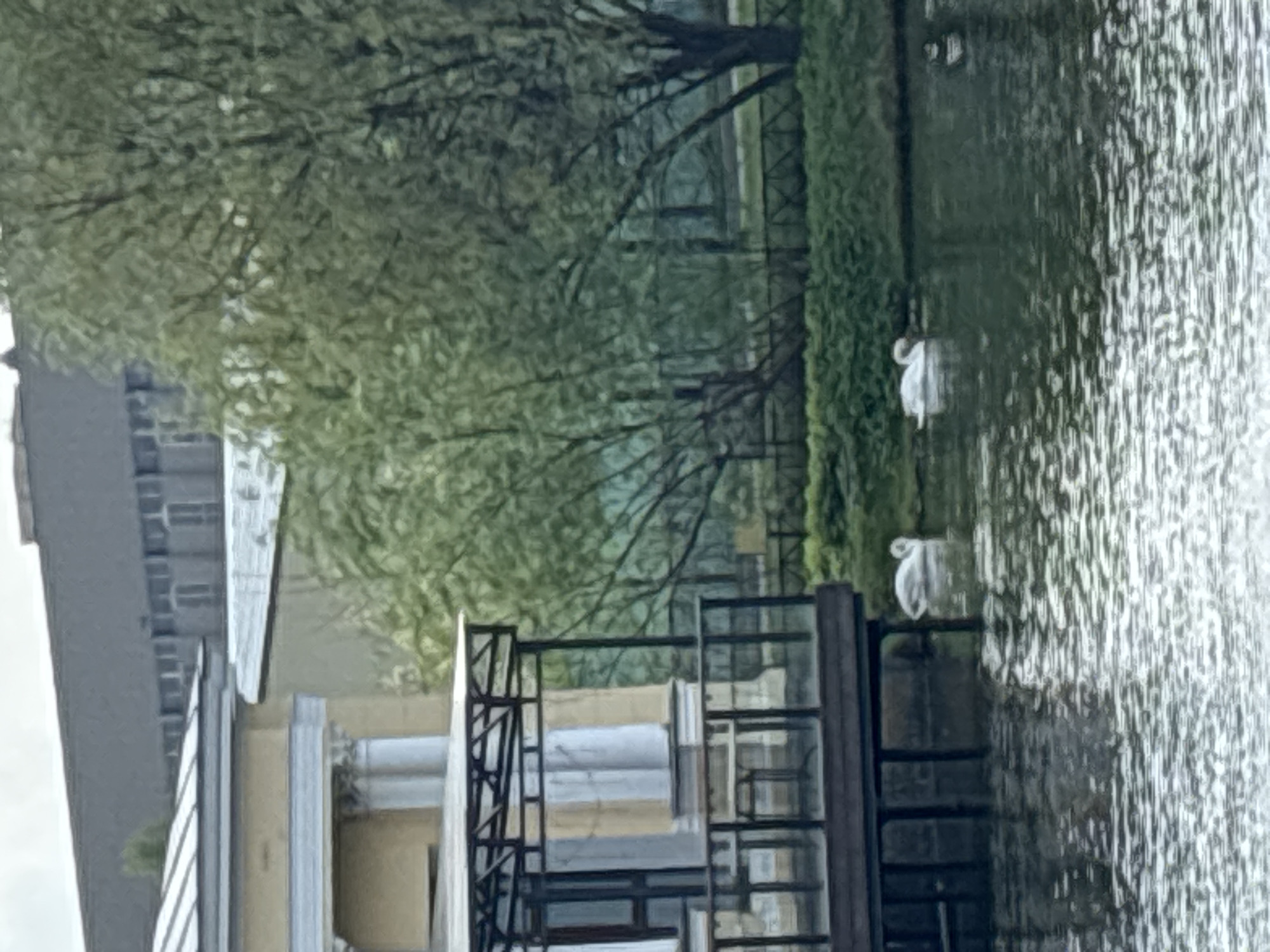 The image shows a building, likely in Unknown, Unknown, adjacent to a body of water. The building has a light-colored facade with prominent columns. In the water, two white swans are visible. A dark-colored metal structure is positioned between the building and the water, possibly a bridge or a decorative element. A lush green area with trees and bushes lines the bank of the water. The overall scene suggests a park or a landscaped area within an urban environment.