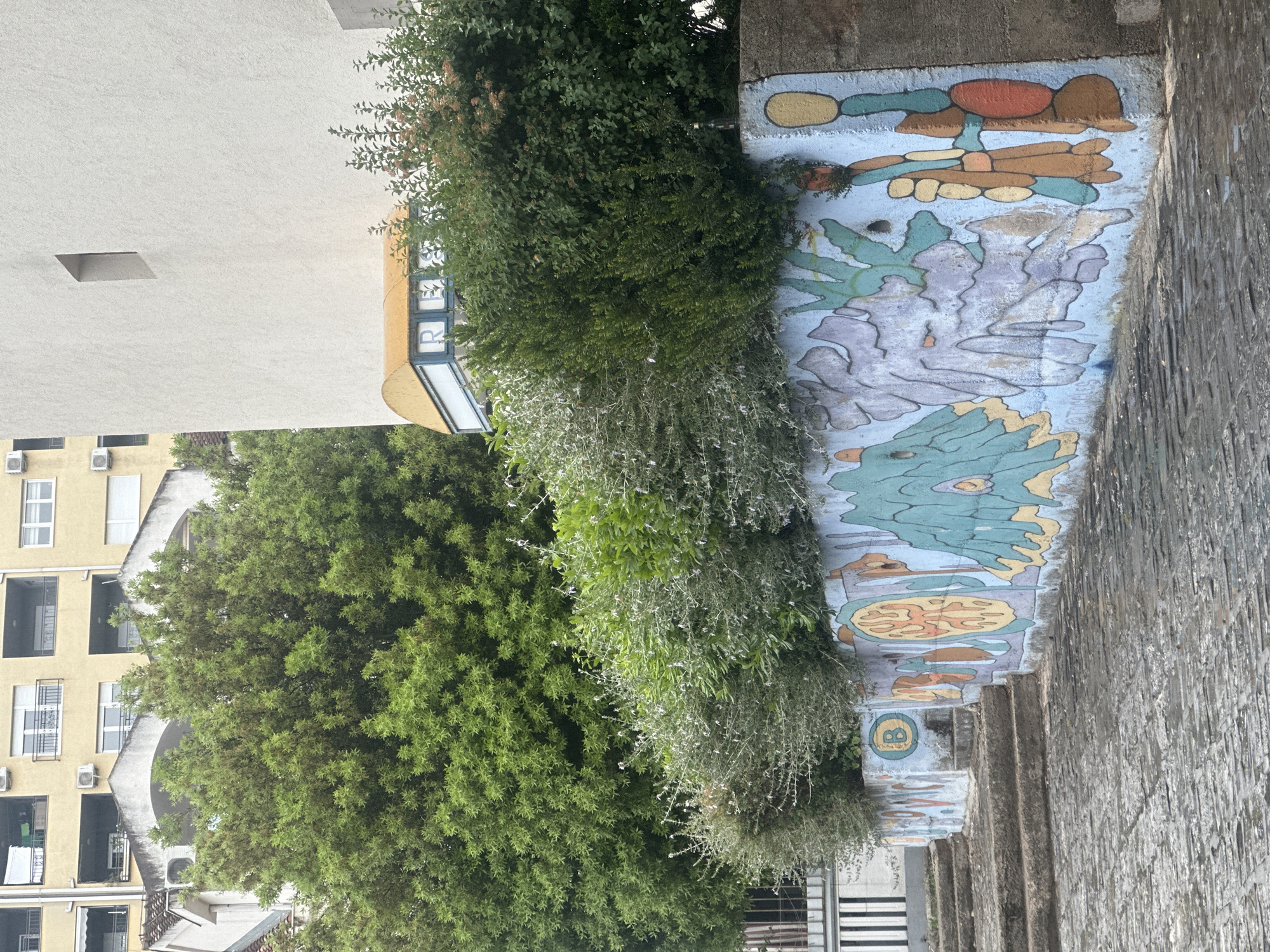 This rotated image captures an urban street scene, likely a public thoroughfare or walkway, bustling with greenery and artistic elements, set against a backdrop of buildings.
In the center, a dense stretch of lush green vegetation, including various trees and bushes, creates a natural barrier. Some foliage is a vibrant dark green with small leaves, while other sections are lighter green, possibly blooming with small white or pale flowers.
To the left (top when viewed correctly), a tall, light-colored building with a single square window cutout is partially visible. Below it, a yellow building features multiple white-framed windows, balconies, and visible air conditioning units, suggesting residential or hotel use. A partial sign on a yellow curved structure, peeking through the foliage near the light-colored building, shows the blue letters "R" and "P".
To the right of the vegetation (left when viewed correctly), a low concrete wall is adorned with a colorful, abstract mural. The mural depicts organic, flowing shapes in a palette of blues, greens, yellows, oranges, and browns, some appearing worn or faded. Towards the lower section of the mural, a distinct circular motif in yellow and blue contains the letter "B". Beyond this mural, a textured stone wall or a series of stone steps descends towards the right edge of the frame.
The scene appears to be set during daytime with soft, diffuse lighting, suggesting an overcast sky or indirect sunlight. There is no visible human activity. The combination of buildings, dense greenery, and a decorative mural indicates a vibrant, lived-in environment.