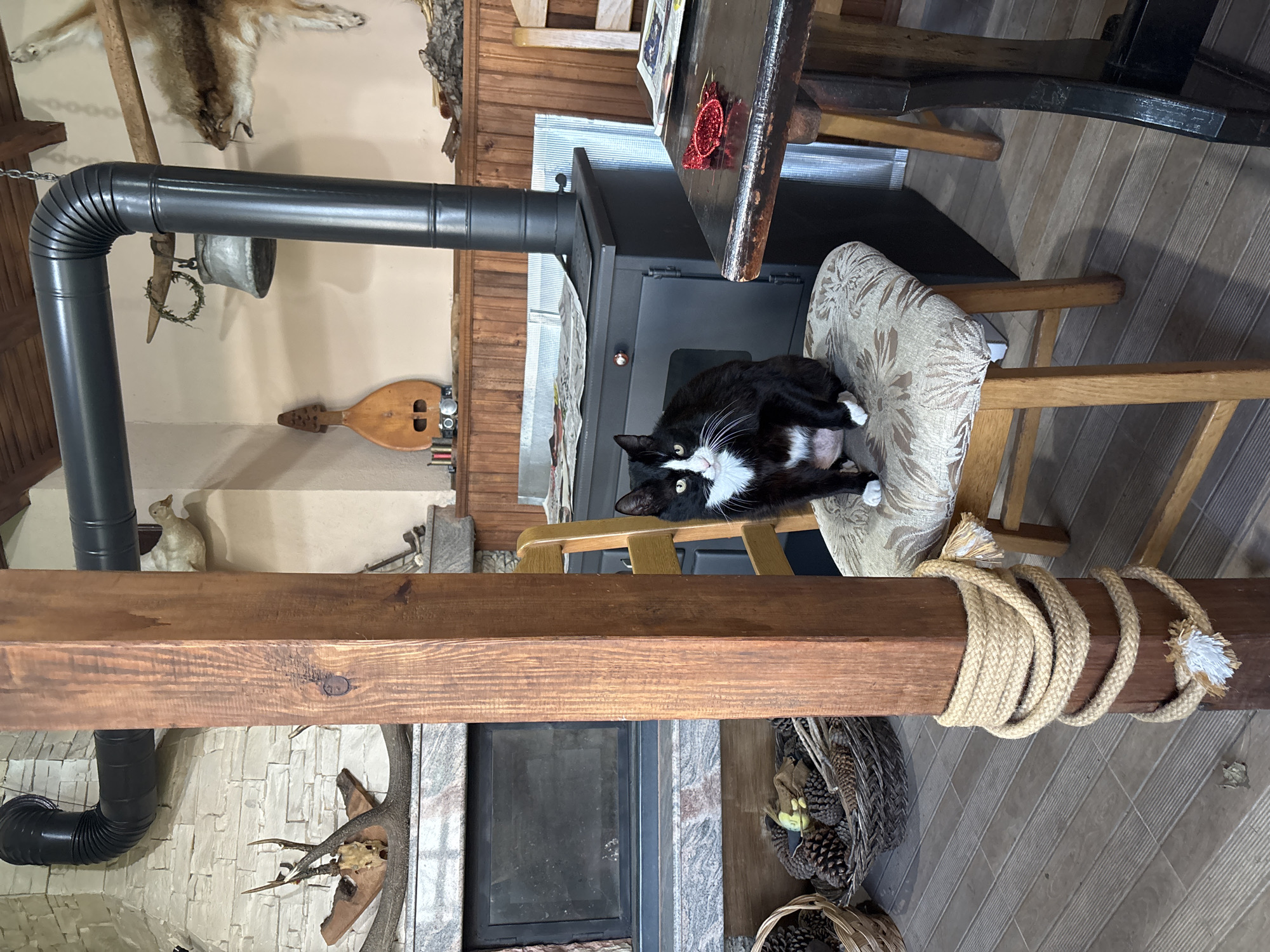 The image depicts an indoor scene with a focus on a black and white cat resting on a chair. The environment suggests a rustic interior setting. A wood-burning stove with a prominent black metal pipe is visible. The chair is situated next to the stove. In the background, various decorative items are present, including a taxidermied animal pelt hanging on the wall, a stringed instrument, and what appears to be a sculpted rabbit figurine. A wooden beam with rope wrapped around it bisects the foreground. Baskets filled with pine cones are also visible. The style suggests a rural setting, which aligns with the region of Goritsa, Bulgaria. No people are visible in the frame.