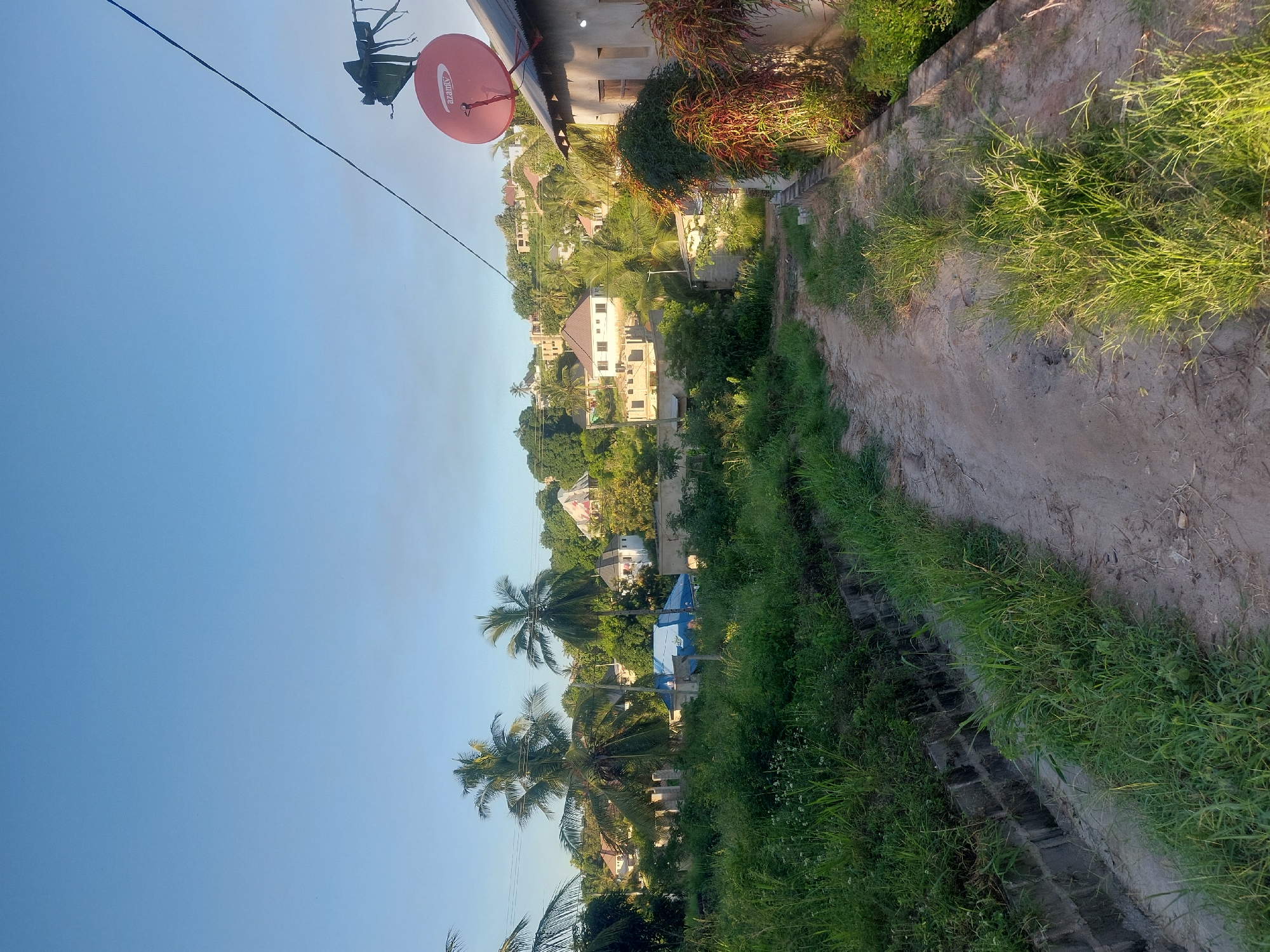The image shows a dirt path with green vegetation on either side, possibly a drainage ditch along the path. The sky is a clear blue. In the distance, there are houses interspersed among trees and palm trees. A red satellite dish is mounted on a building near the top of the image. It is likely a residential area with a mix of vegetation and buildings. The location is most likely Dar es-Salaam, Tanzania.