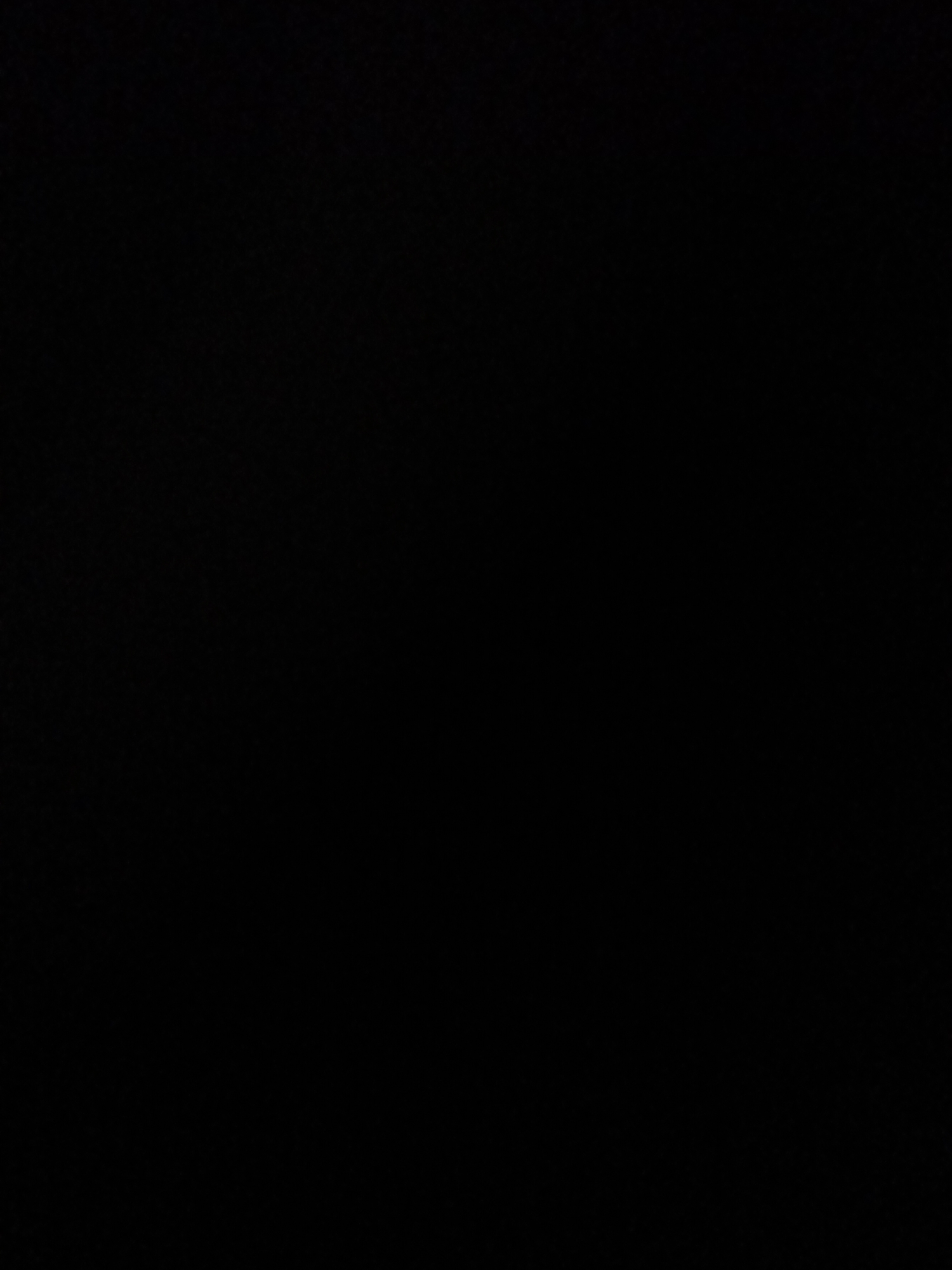 This media file is entirely black, indicating a complete absence of any visible image content. There are no subjects, objects, scenes, activities, events, notable details, or text to describe.