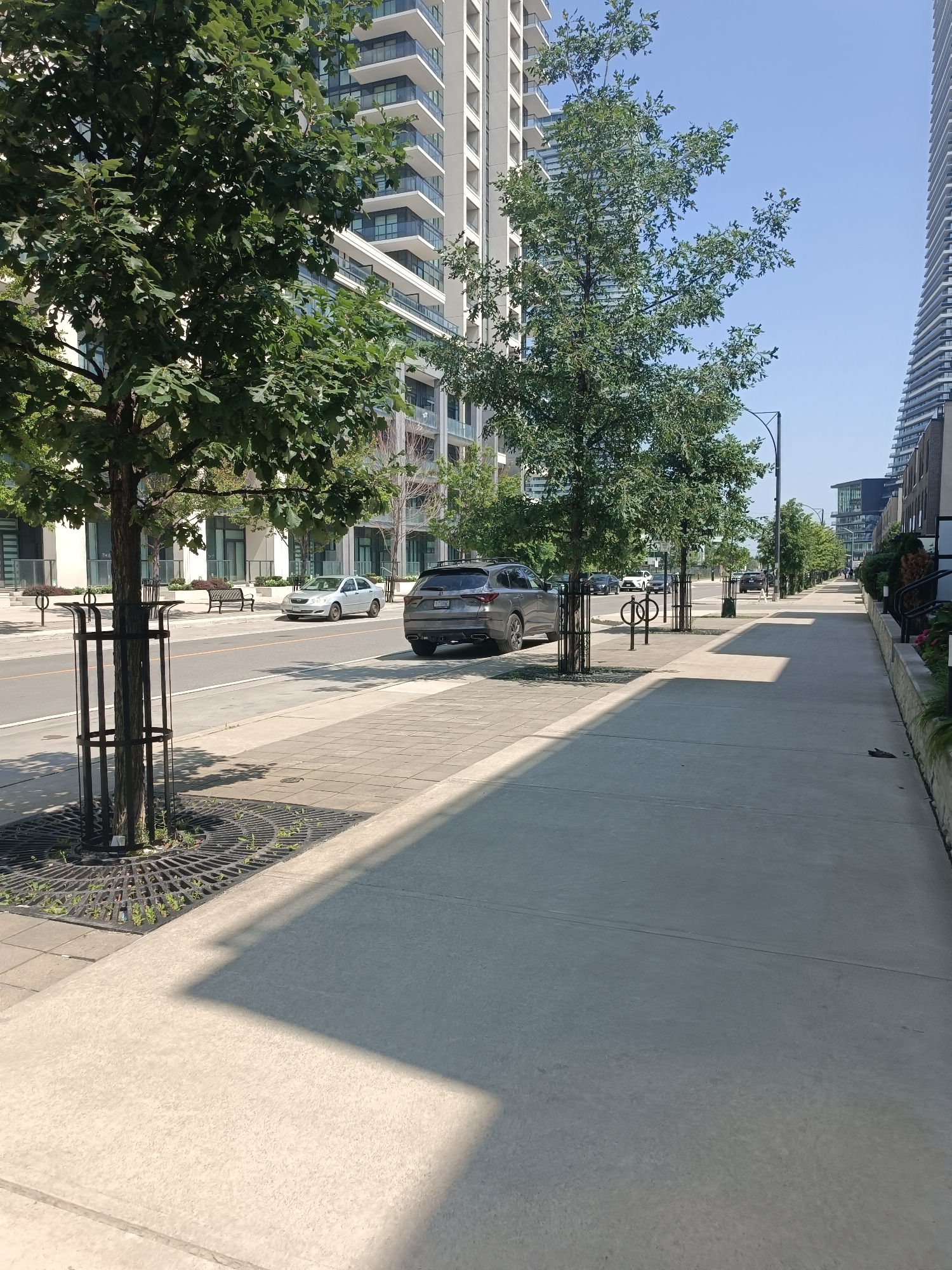 An eye-level, medium shot captures a sunny street scene in Mississauga, Canada, likely during the daytime. The perspective is from a sidewalk, looking down a street lined with modern, multi-story buildings on the left and right. These buildings have a contemporary architectural style with balconies and glass facades.
Several trees with green foliage are planted along the sidewalk, some with protective metal cages around their bases. The sidewalk itself is paved with concrete. Across the street, cars are parked and driving, including a silver sedan and a gray SUV.
The road appears to be a two-lane street with painted lane markings. In the distance, more buildings and trees are visible, suggesting an urban or suburban environment. The sky is clear and blue. There are no visible people in the immediate foreground, but a distant figure can be seen walking on the sidewalk further down the street. The overall impression is one of a clean, well-maintained, and modern urban setting.