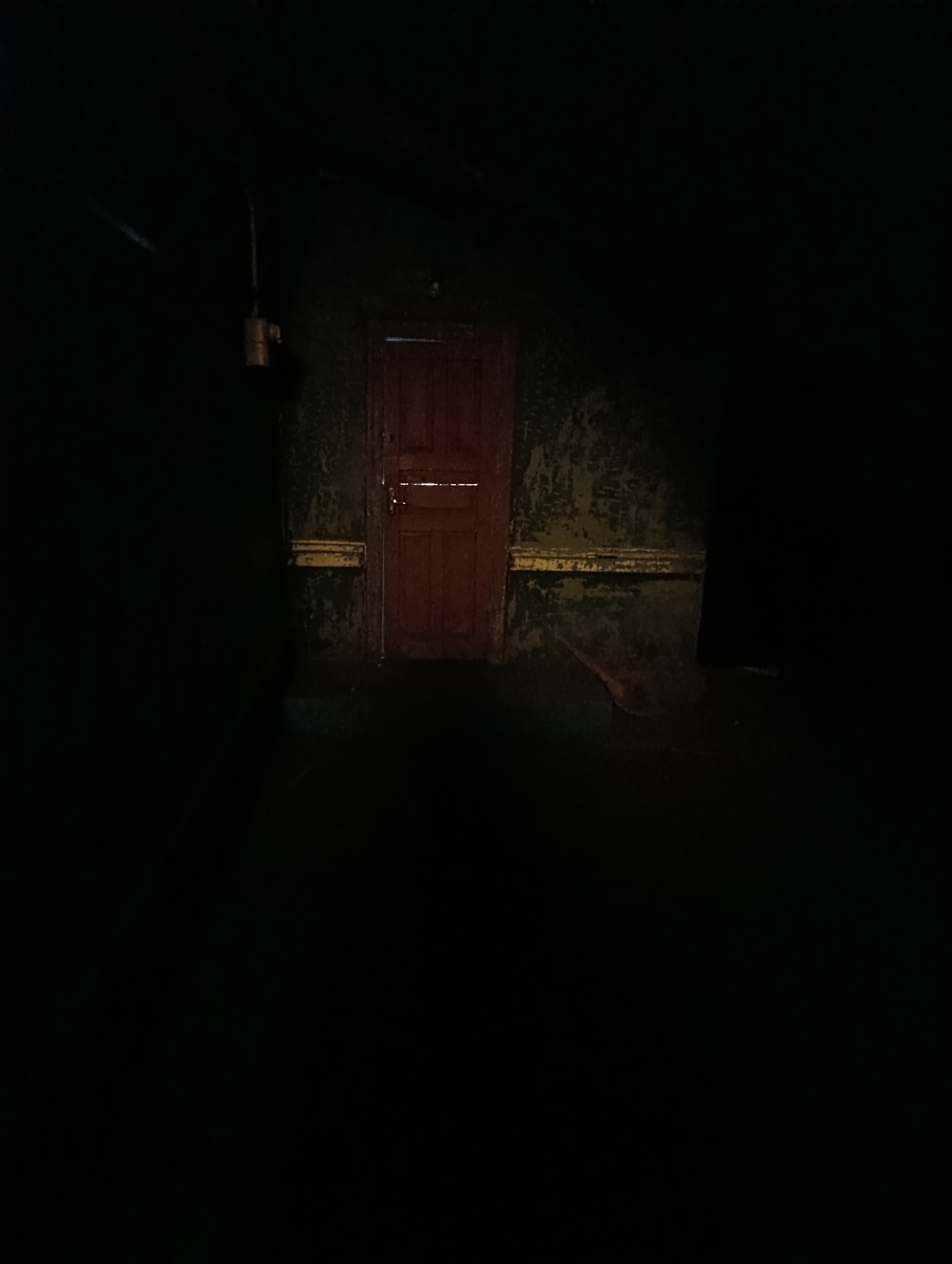 The image depicts a dimly lit interior space, possibly a room or hallway. A wooden door, appearing red or dark brown, is centrally located and slightly ajar, revealing a sliver of light. The walls are textured and appear distressed, with patches of peeling paint in green and yellow hues. A metal light fixture hangs from the ceiling on the left side of the frame. In the foreground, on the right side, a broom or similar cleaning tool leans against the wall. The overall lighting is low, creating shadows and a somber atmosphere. The scene is devoid of any individuals or visible signs of recent activity. No specific location in Roghi, Moldova can be identified from the image alone.