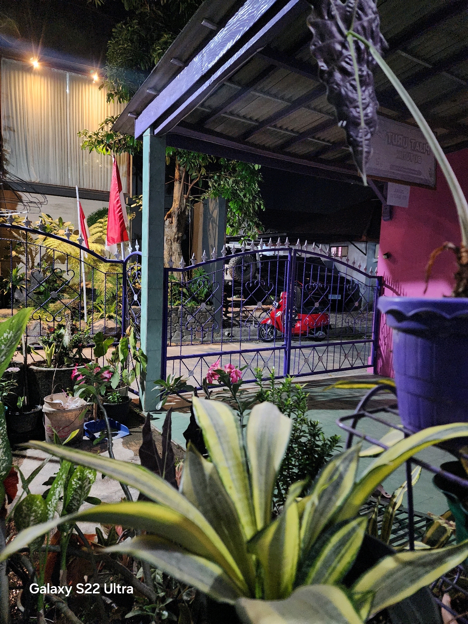 A night-time, slightly low-angle, eye-level shot captures an outdoor residential scene. The foreground is dominated by lush green plants with yellow variegation, partially obscuring the view. A dark metal stand holding plants is visible. In the midground, a dark blue metal gate with decorative elements is open, allowing a view of the property beyond. Two red and white flags, likely national flags, are mounted on poles behind the gate. A bright red scooter is parked inside the gate, to the left of a dark-colored SUV. The background reveals a pink-painted building on the right and a white building with vertical blinds on the left, illuminated by warm yellow lights. A dark-colored plant hangs in the upper right corner. A sign with text is visible on the pink building. The overall impression is a well-maintained, residential entrance at night.