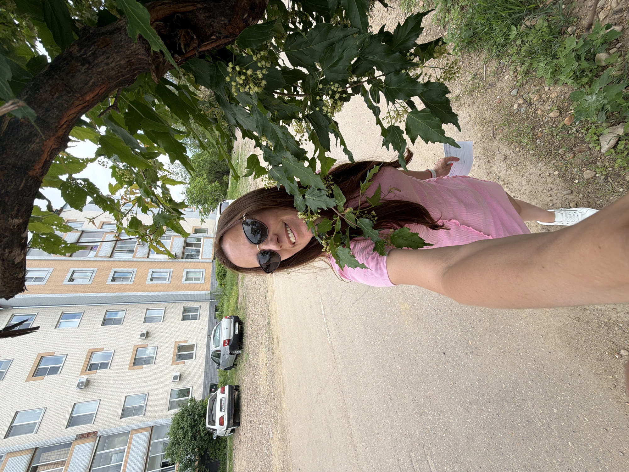 A woman with long brown hair and sunglasses is taking a selfie while standing on a paved road in Birobidzhan, Russia. She is wearing a pink ribbed short-sleeve dress and white sneakers. She is holding a piece of paper in her left hand. To her left are two parked cars, a white sedan and a silver sedan. Behind the cars, a multi-story apartment building with light-colored brickwork and orange accents is visible. A large tree with green leaves and small clusters of white flowers is in the foreground, partially obscuring the woman and the building. The ground is a mix of paved road, gravel, and green grass. The sky is cloudy.