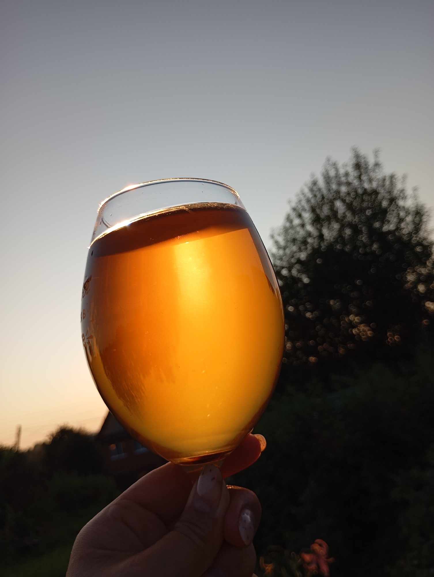 A hand holds a stemmed glass filled with amber liquid, likely beer or cider, against a softly blurred outdoor background. The setting sun casts a warm, golden glow through the beverage, creating a luminous effect. In the distance, silhouetted against the pale sky, is the indistinct shape of a tree and a small building, possibly a house, with a prominent roofline. The foreground shows a hand with manicured nails, gently supporting the glass. The overall impression is one of a peaceful, end-of-day moment. The location is identified as Fokino, Russia.