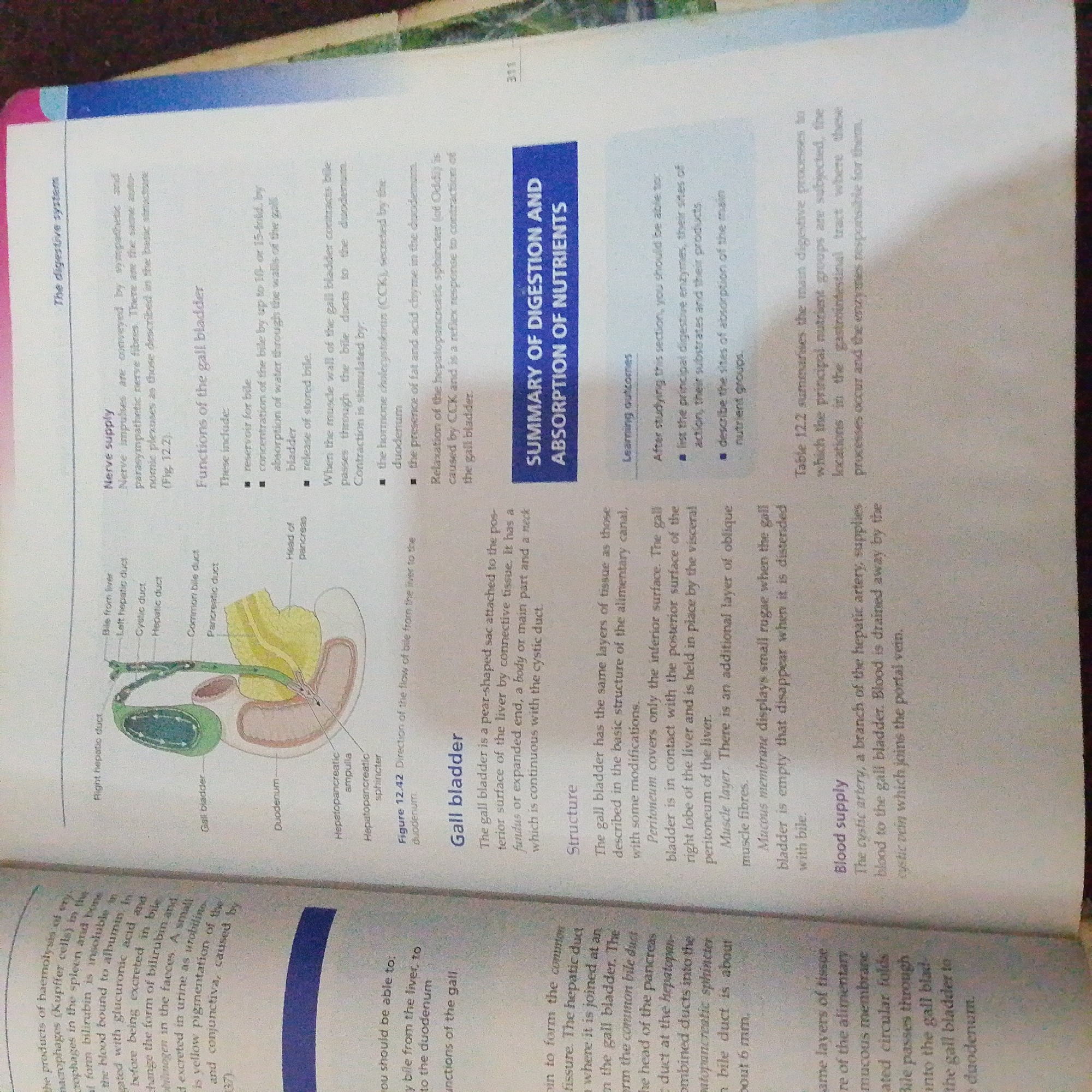 The image is a photograph of a textbook page with diagrams and text about the digestive system, specifically focusing on the gall bladder and bile production. The text discusses nerve supply, functions, and structure of the gall bladder, as well as blood supply. There is a diagram illustrating the bile ducts, gall bladder, pancreas, and duodenum. The page is from a book with a white background and blue and pink accents on the left margin. The text is primarily in English. There is no information within the image that relates to Jalingo, Nigeria.