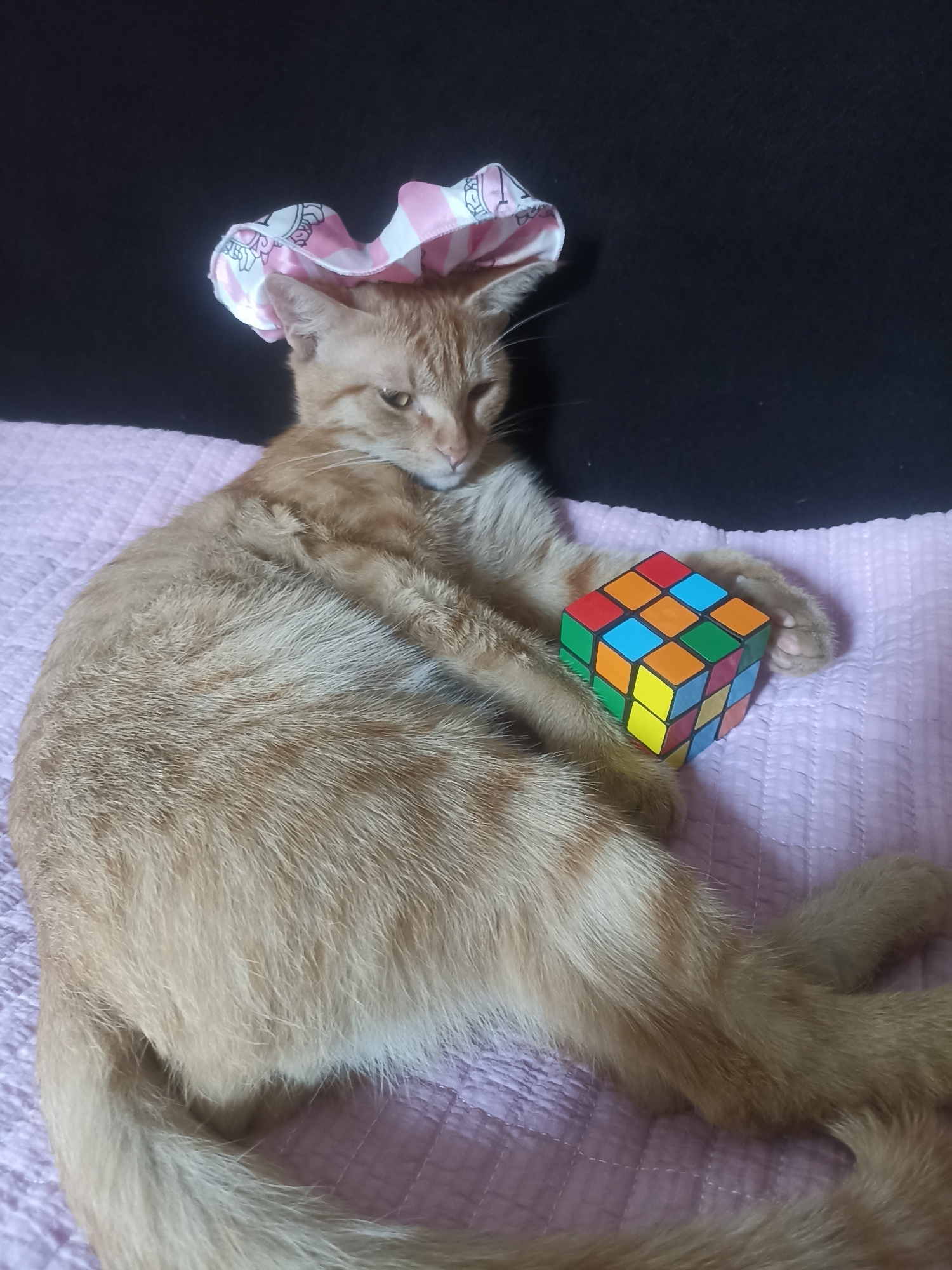 An orange tabby cat lies on a pink quilted surface, its body angled towards the viewer. The cat is wearing a pink and white scrunchie on its head, with a pattern of cartoon characters. To the cat's right, a colorful Rubik's Cube rests on the surface. The background is dark, likely a black fabric. The scene appears to be indoors, possibly in a domestic setting in Osh City, Kyrgyzstan, based on the provided context.