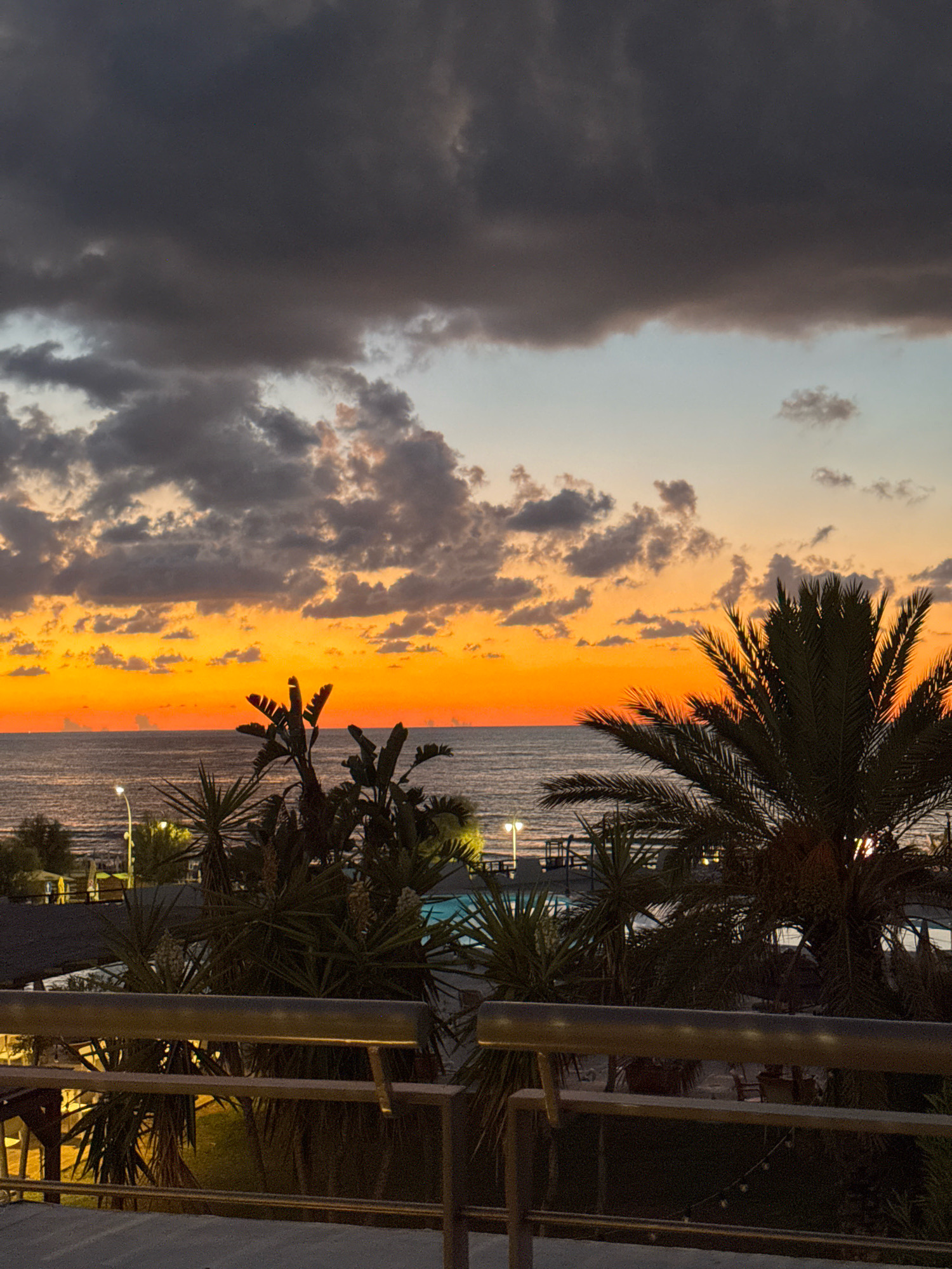 A vibrant sunset casts an orange glow over the sea, as dark clouds gather in the sky. In the foreground, palm trees and other lush vegetation are silhouetted against the fading light. A railing runs across the bottom of the image, suggesting a balcony or terrace. In the background, lights twinkle from buildings along the coast, hinting at a populated area. The scene captures the tranquil beauty of a coastal evening.